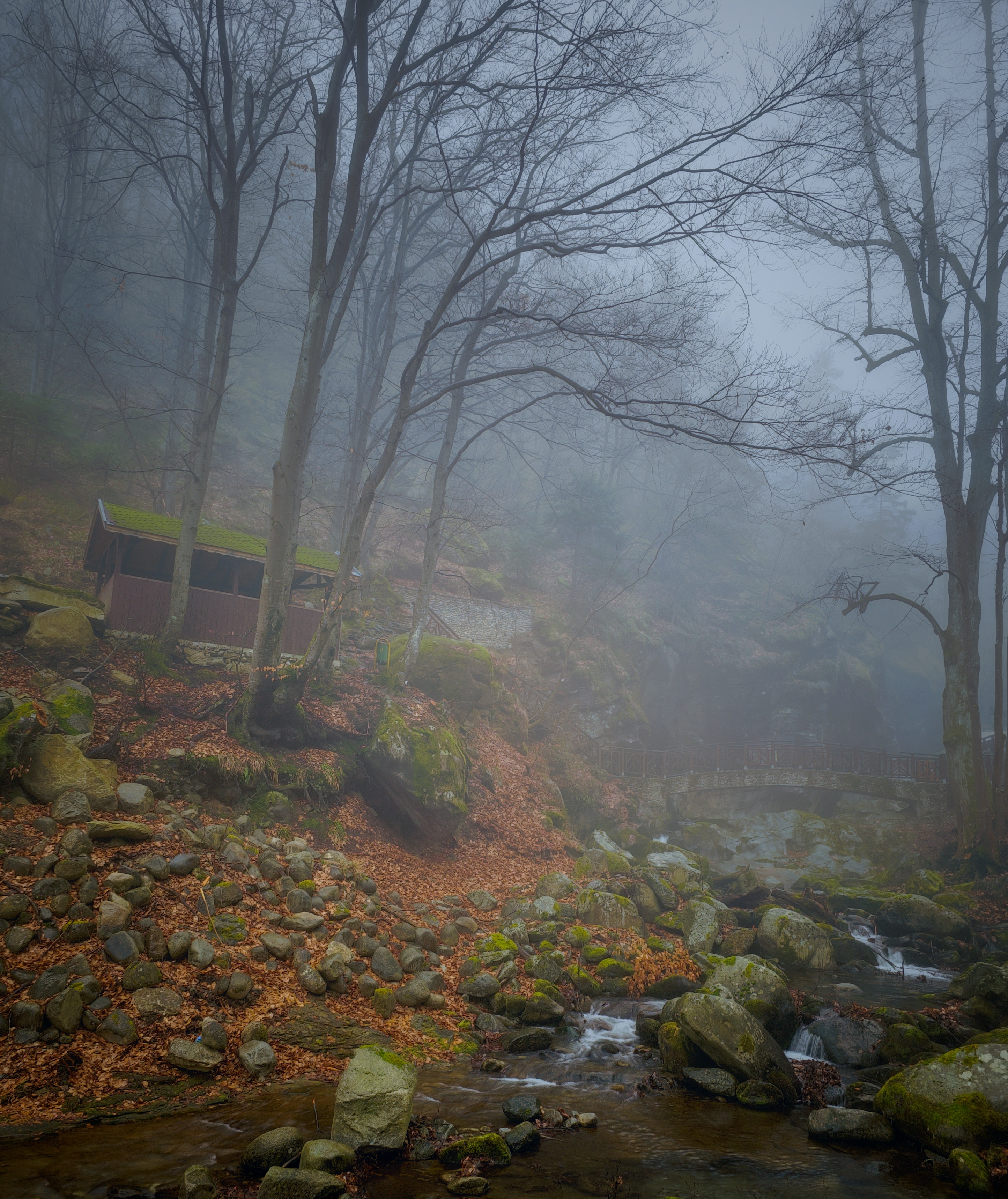 landscape, #fog, #forest, #river, Герчев Николай