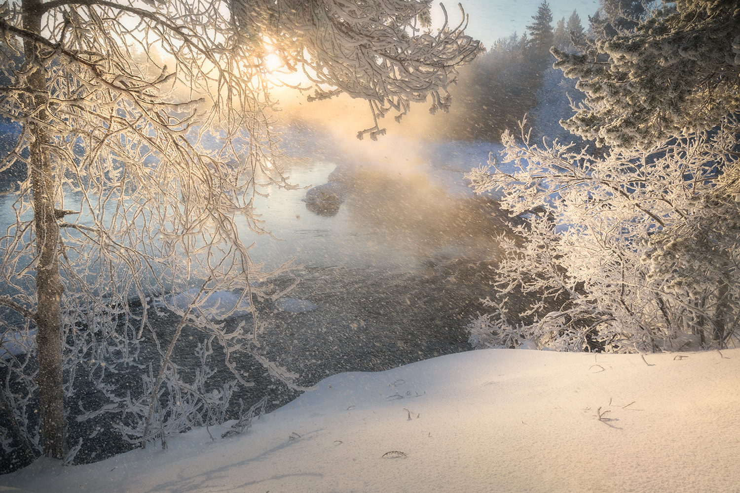 зима мороз река солнце деревья иней снег луч, Сергей Буторин