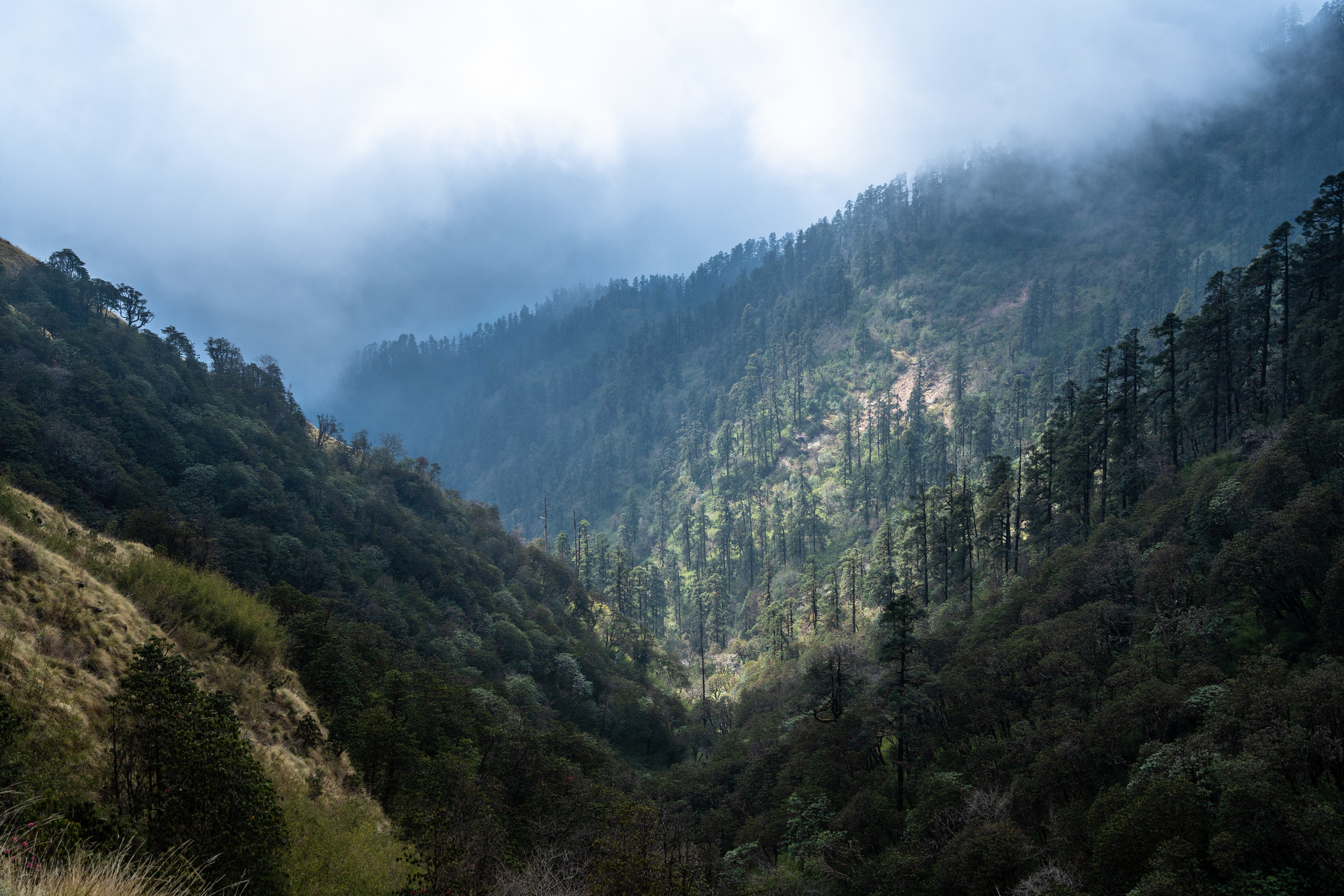непал, гималаи, горы, лес, солнце, облака, туман, nepal, himalaya, mountains, forest, sun, clouds, fog, Баландин Дмитрий