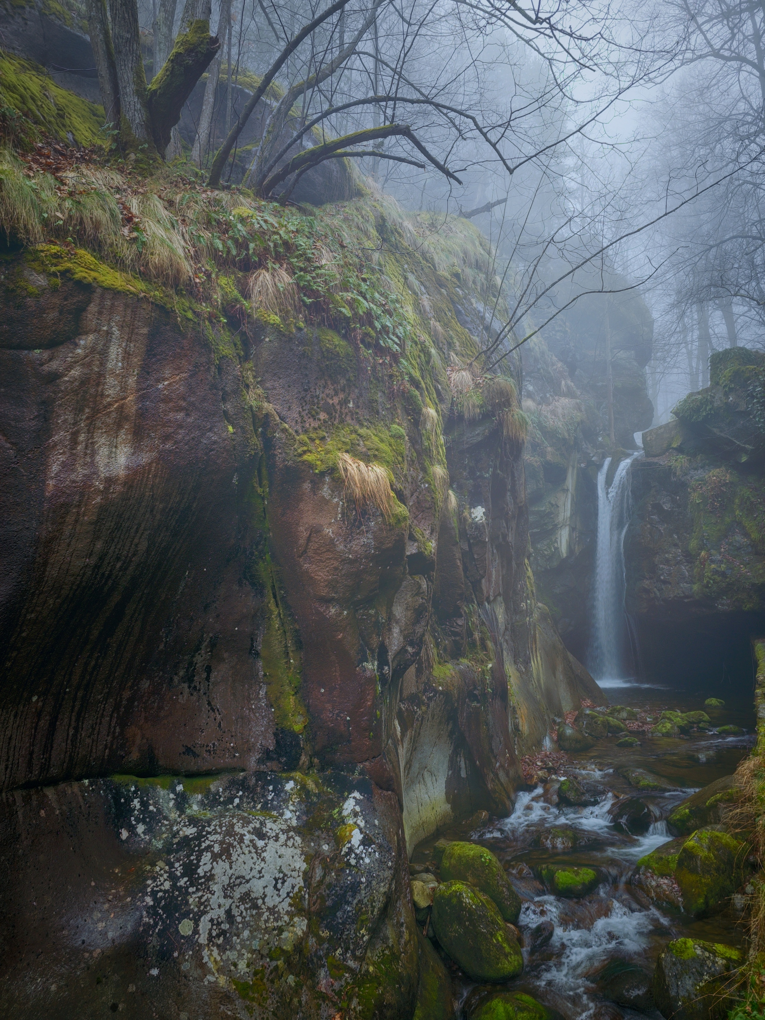 Landscape # forest #fog # waterfall , Герчев Николай