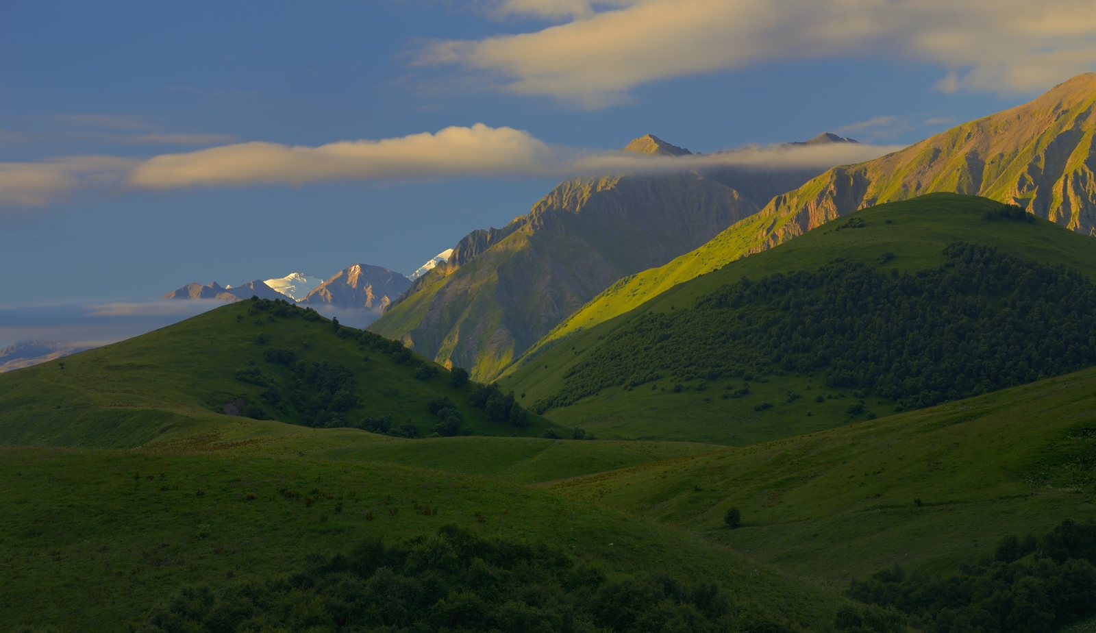 горы лето кавказ, Александр Жарников