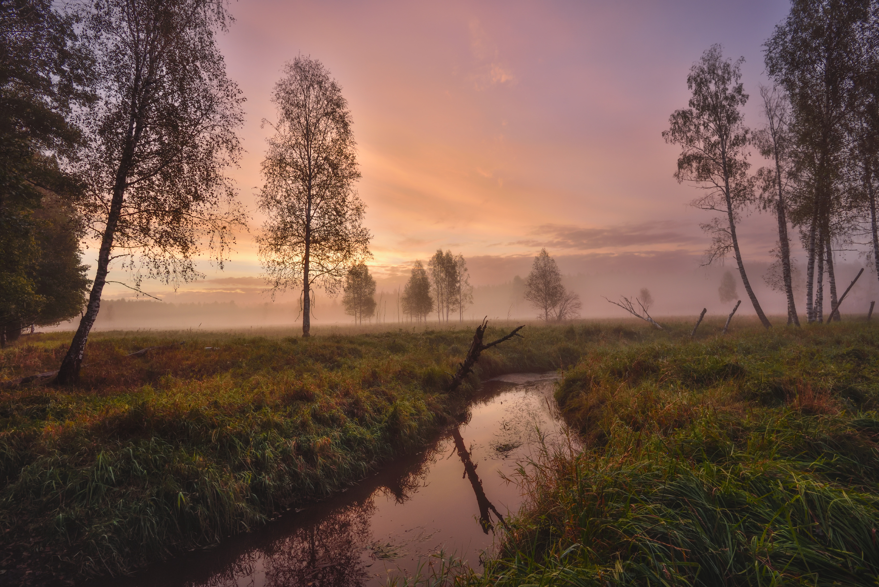 утро,речка,туман,деревья,отражение,небо,облака, Виталий Полуэктов