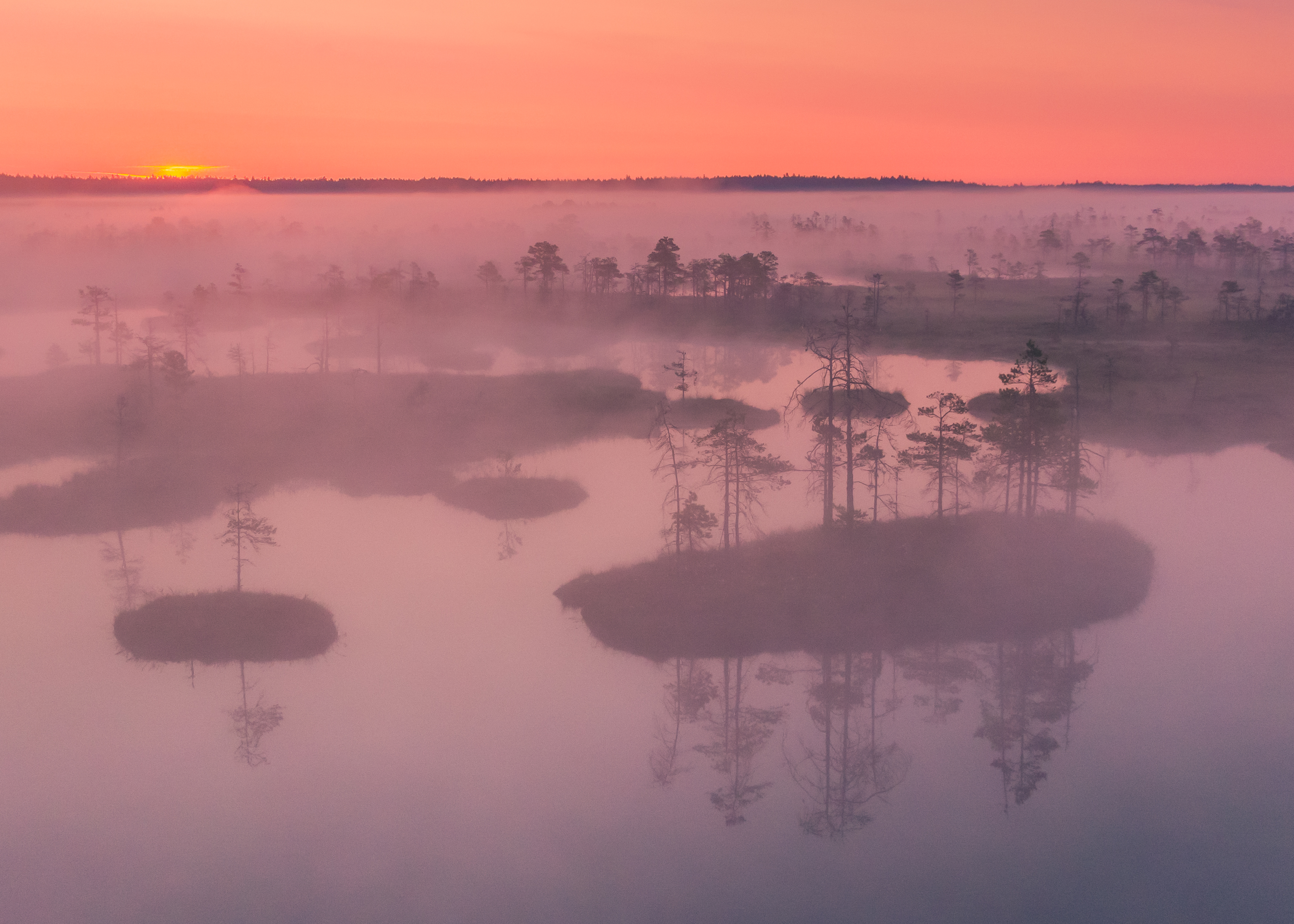 #estonia #estoniabogs #nature_of_estonia #naturelovers #sunrise_sunset_photogroup #sunriseoftheday #foggymorning #foggy #bog #kõnnusuursoo #visitharju #visitestonia #earlymorningwalk #morningmotivation #sunrise_sunsets #dji #drone #aerial #djiphotography , Nikolai Mordan