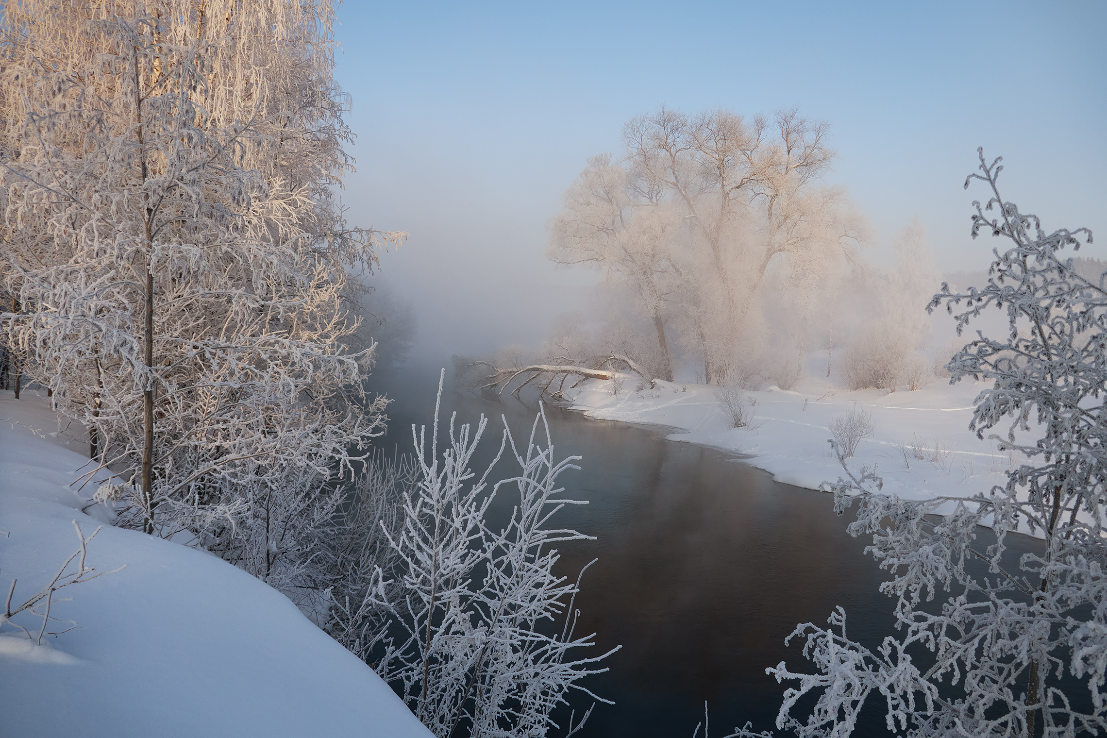 река истра, зима, мороз, туман, иней, Александр Медведев