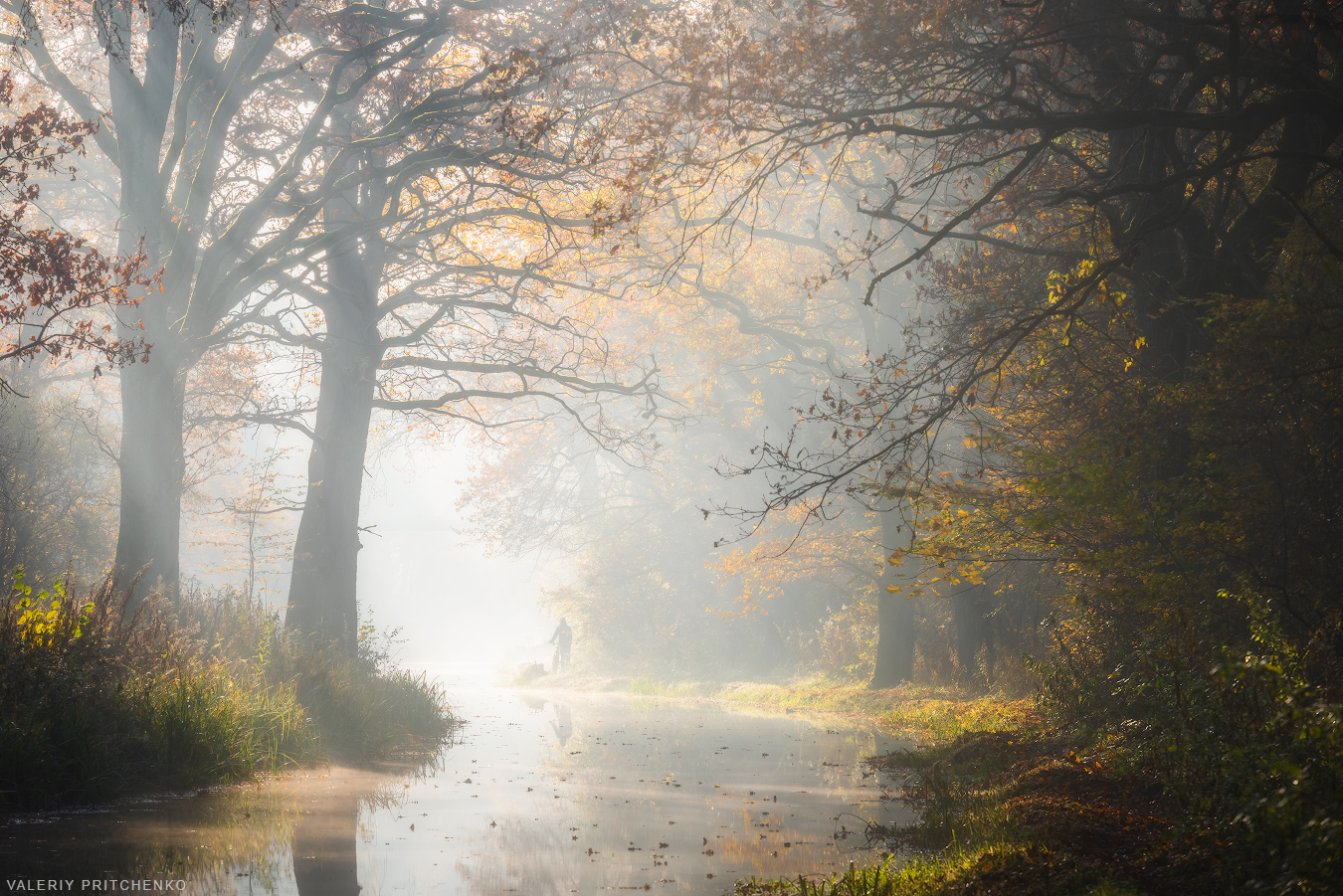 осень, пейзаж, утро, природа, туман, landscape, nature, autumn, morning, Валерий Притченко
