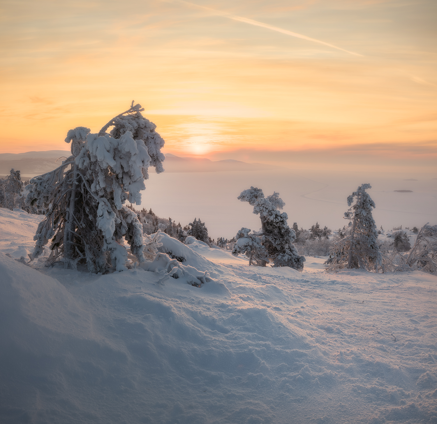 утро рассвет солнце мороз сопка деревья, Сергей Буторин