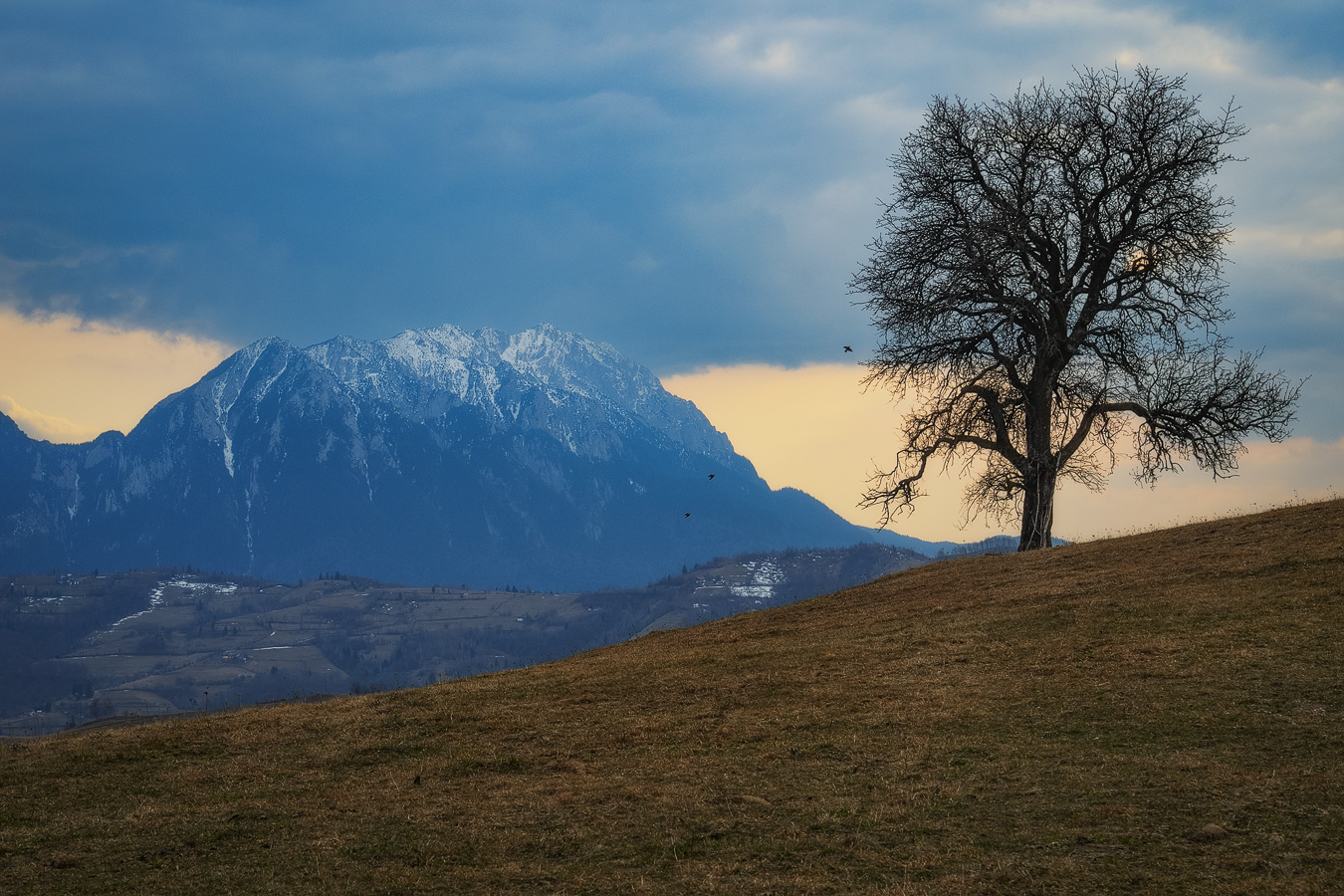 , Stefan Chirobocea