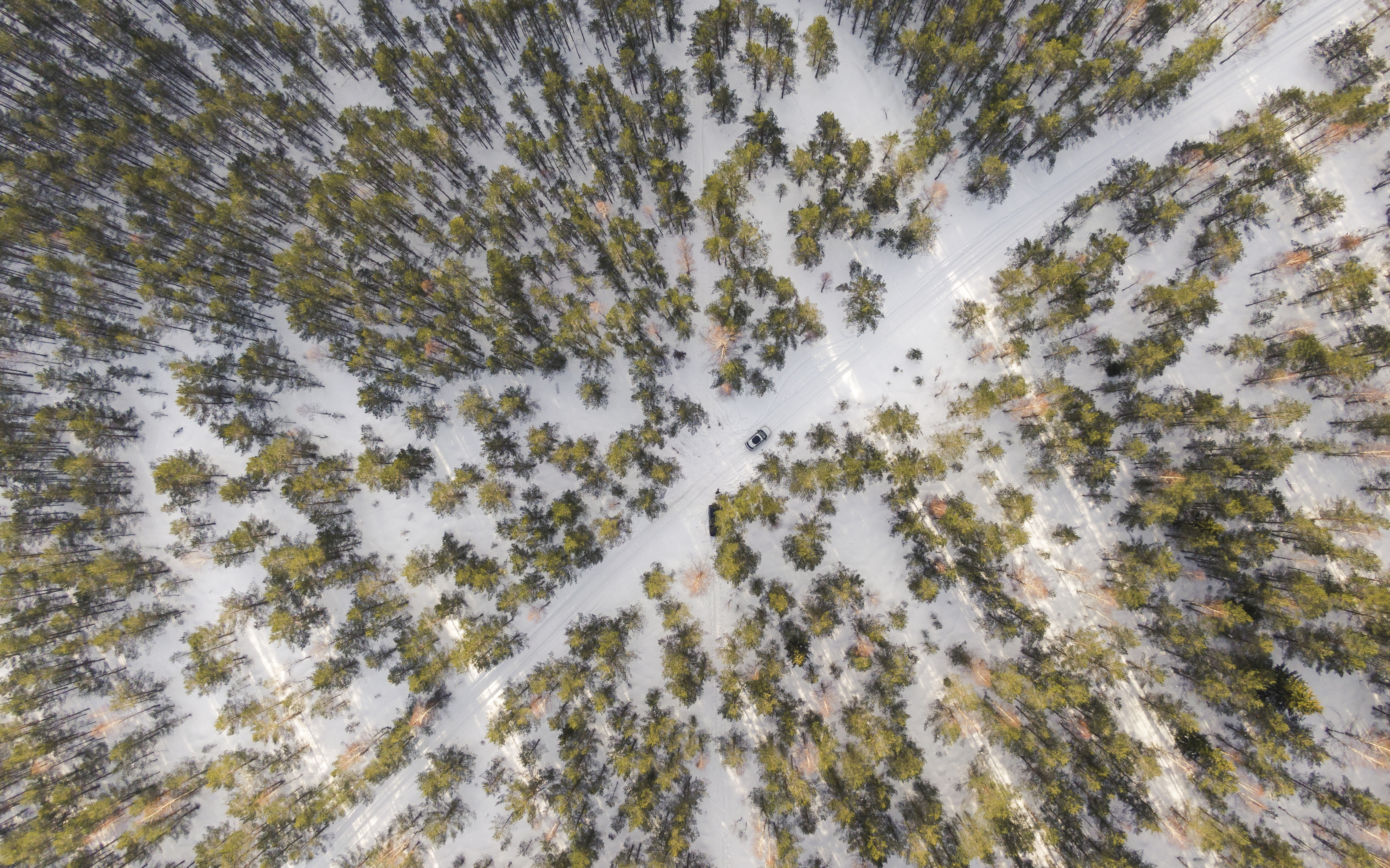 #harjumaa #kõnnusuursoo #eesti #estonia #swamp #eestirabad #bog #bogs #nature #loodus #eestiloodus #ilusadeestipaigad #hikingtrails #hikingtrail #winterwonderland #wintertrail #nature_of_estonia #dronephotography #drone #dji #djiphotography #estoniafroma, Nikolai Mordan