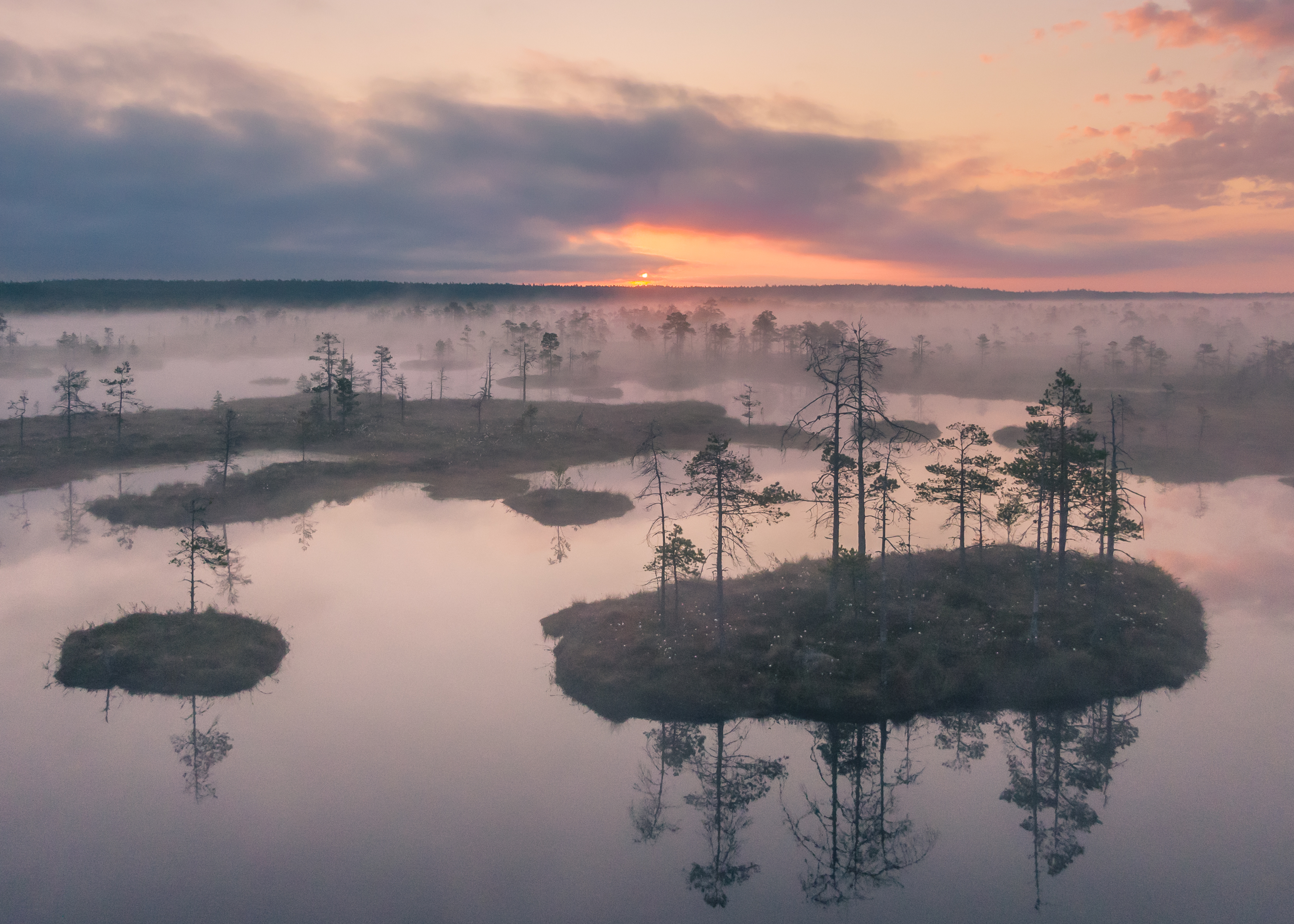 #estonia #estoniabogs #nature_of_estonia #naturelovers #sunrise_sunset_photogroup #sunriseoftheday #foggymorning #foggy #bog #kõnnusuursoo #visitharju #visitestonia #earlymorningwalk #morningmotivation #sunrise_sunsets #dji #drone #aerial #djiphotography , Nikolai Mordan