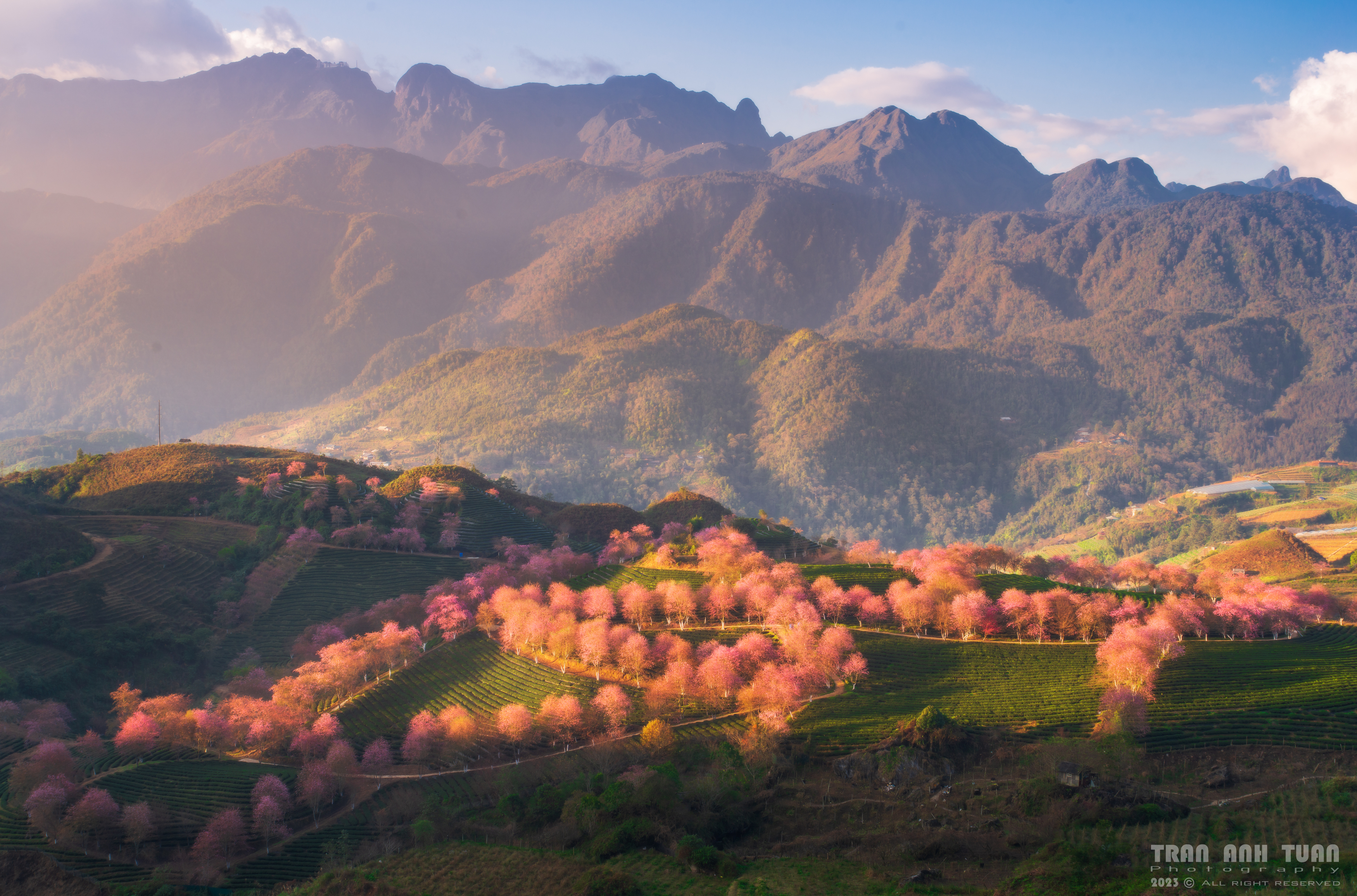 Landscape, Moutian, Spring, Tree, Sun, Anh Tuấn Trần