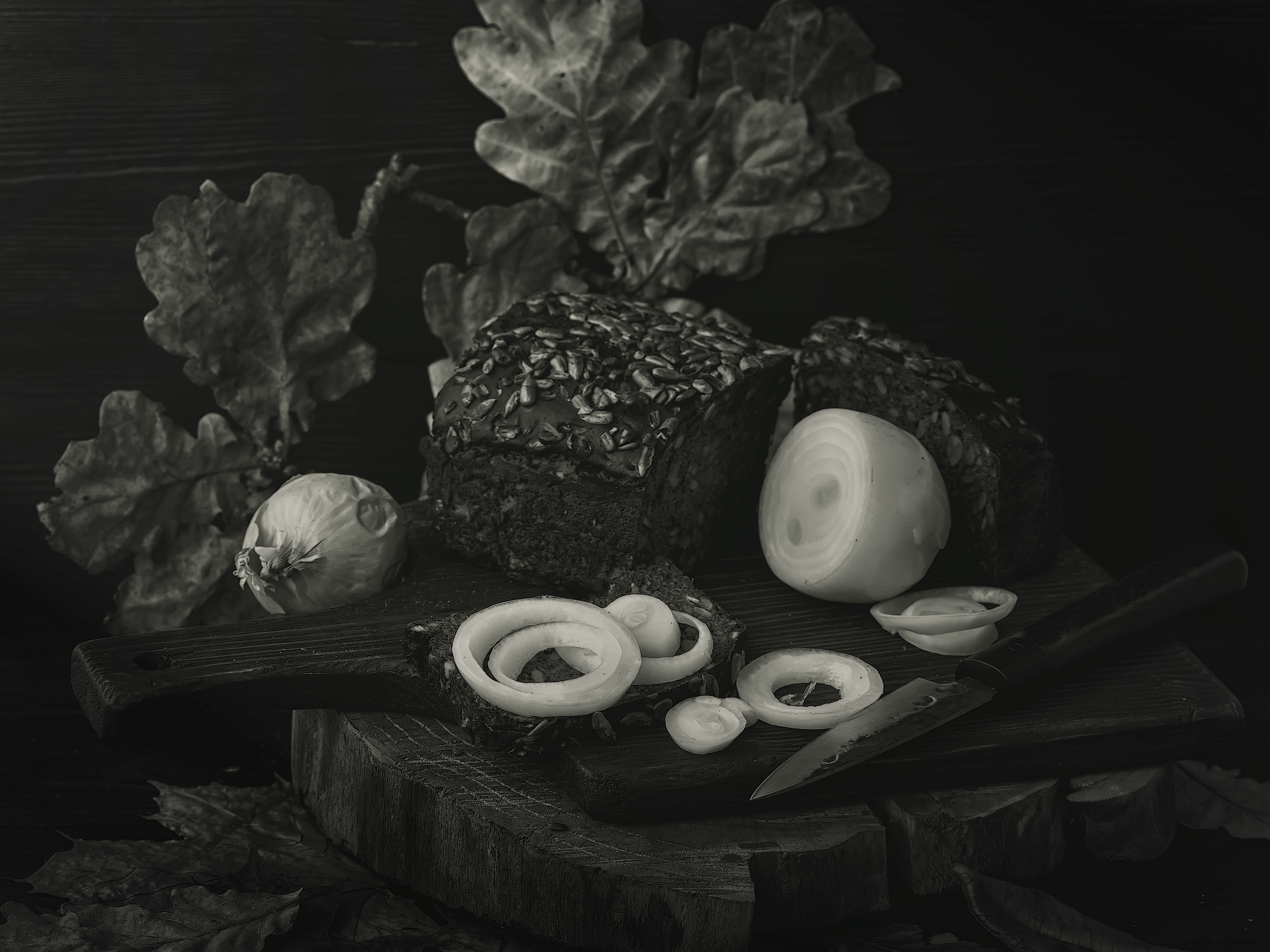 хлеб, лук, нож, натюрморт, черно белое, фото, Стасов Виталий
