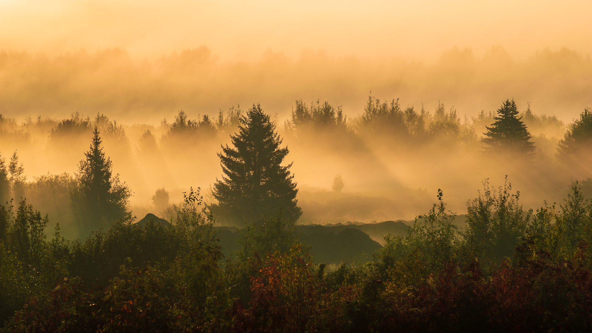 пейзаж, природа, рассвет, туман, республика коми, Mysov Ivan