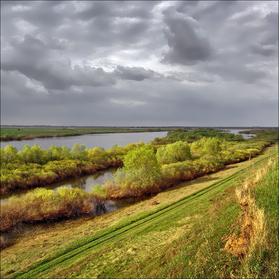 , Тарасов Алексей