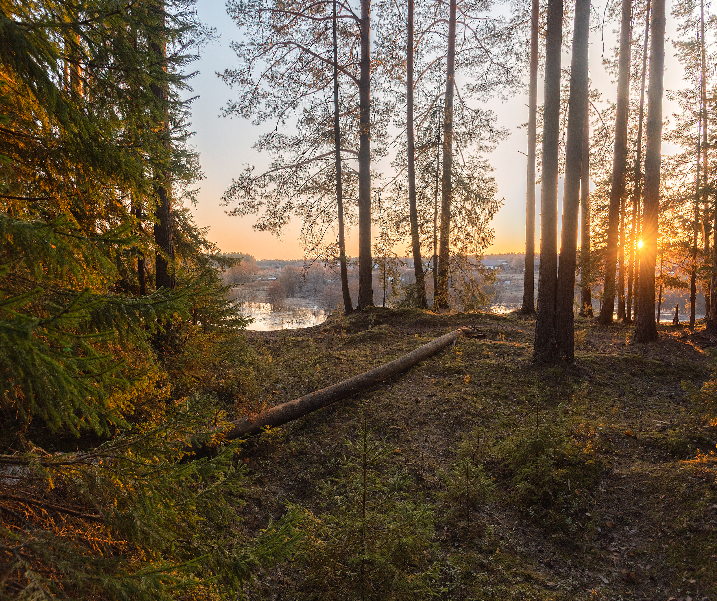 , Евгений Карепанов