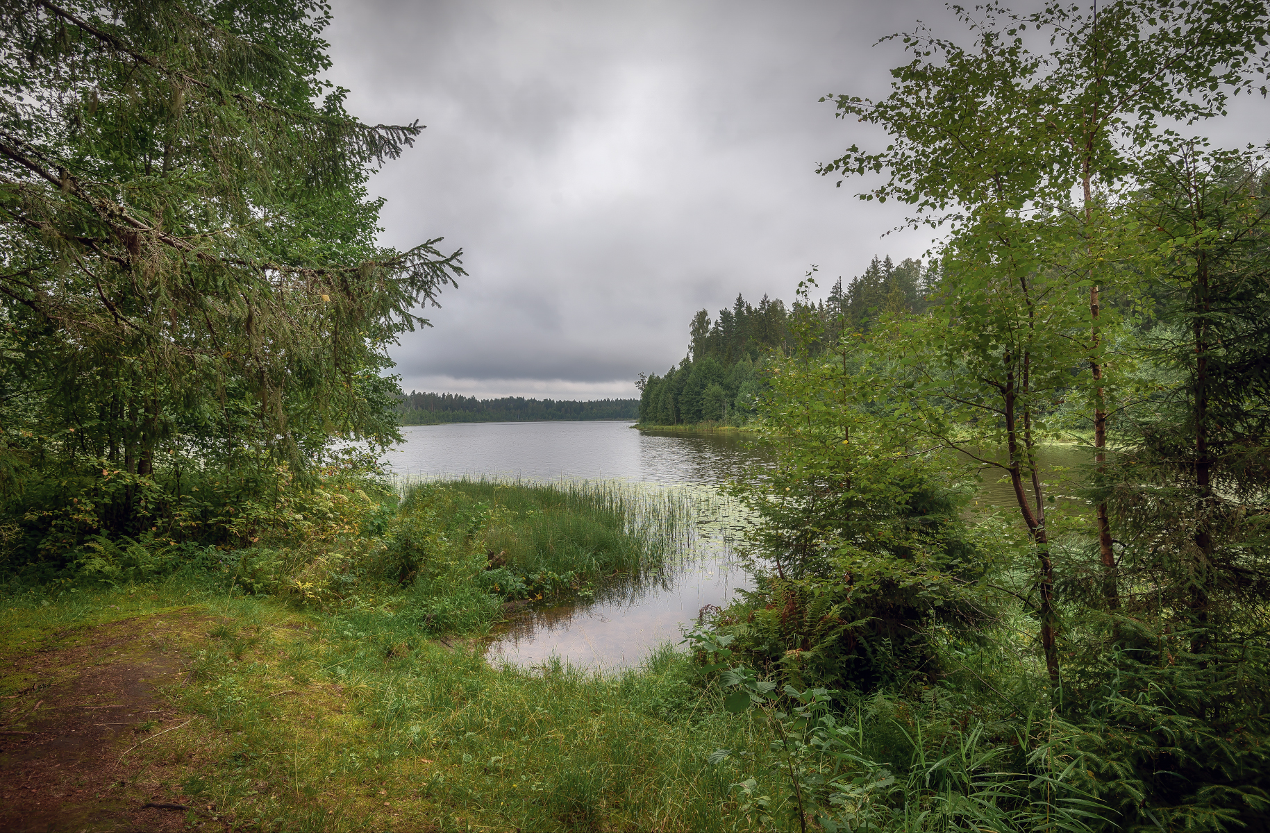 лес, озеро , лето, Сергей Аникин