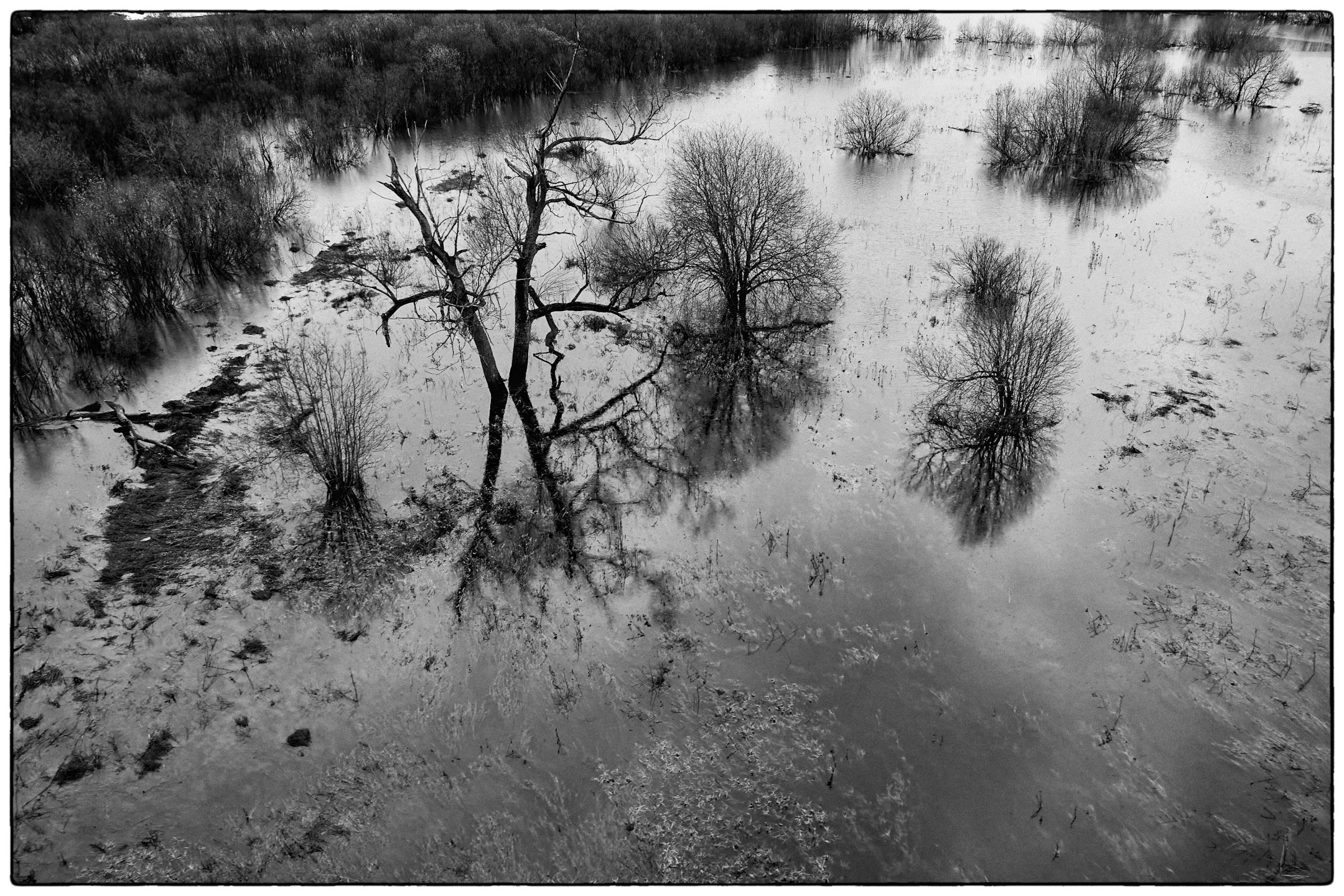 вода. река. весна. ч\\б деревья. пейзаж, Totoro D