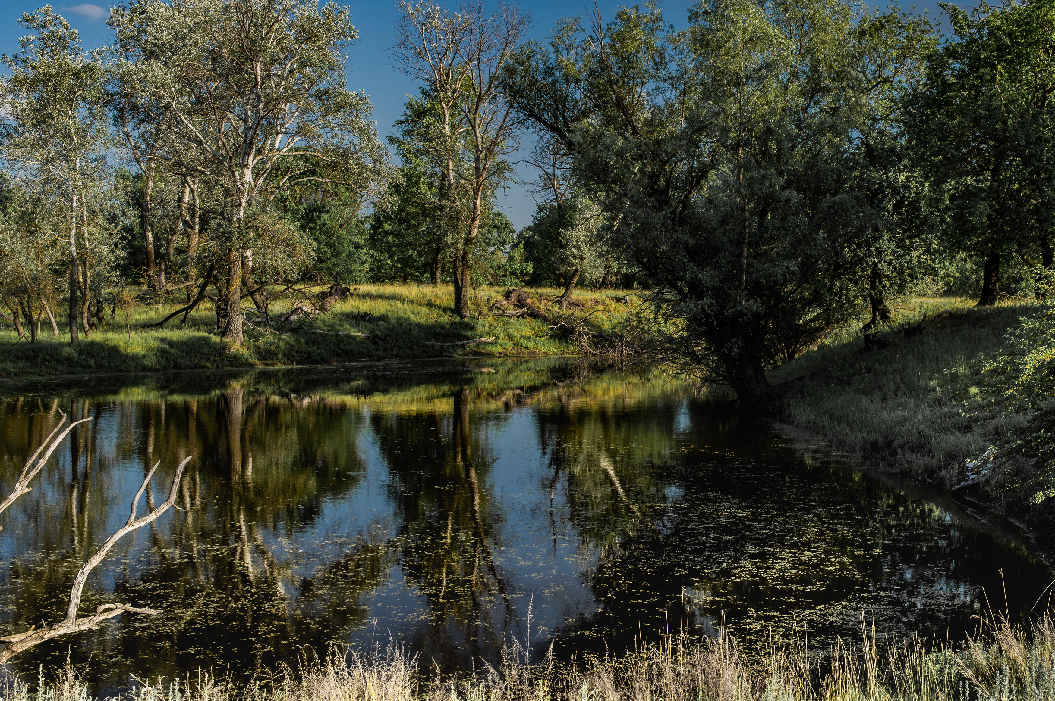 озеро вода, деревья пейзаж, природа, Vasilev Roman