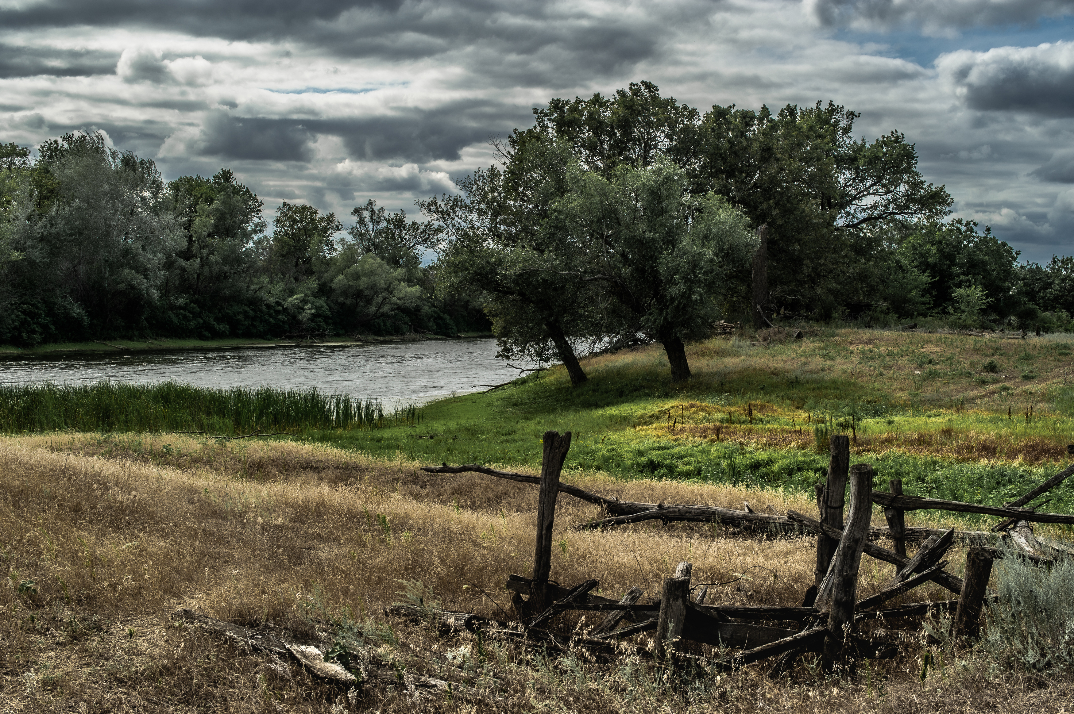 деревья, озеро, пейзаж, природа, Vasilev Roman