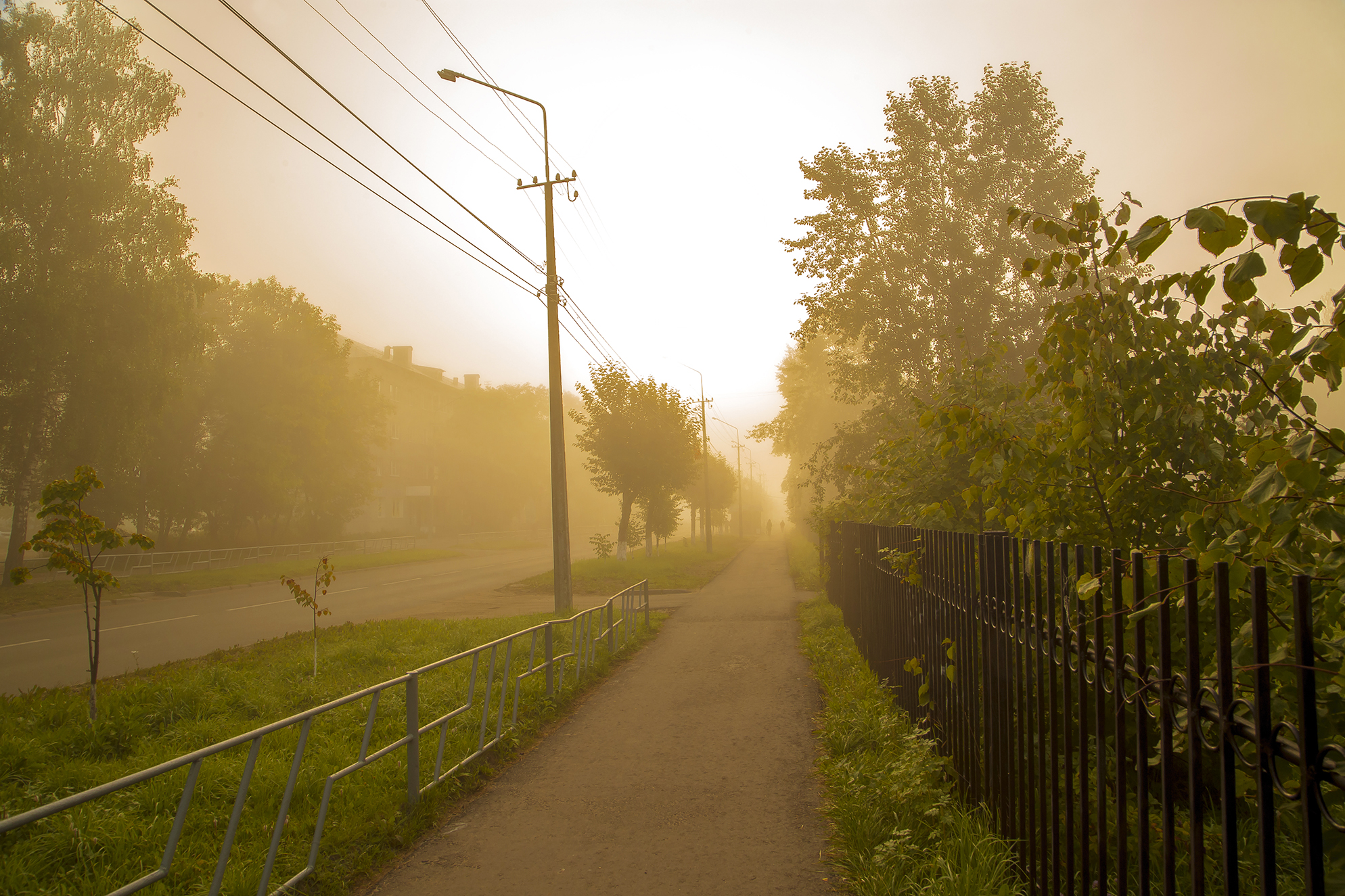 утро, туман, тротуар, улица, Анкудинов Леонид