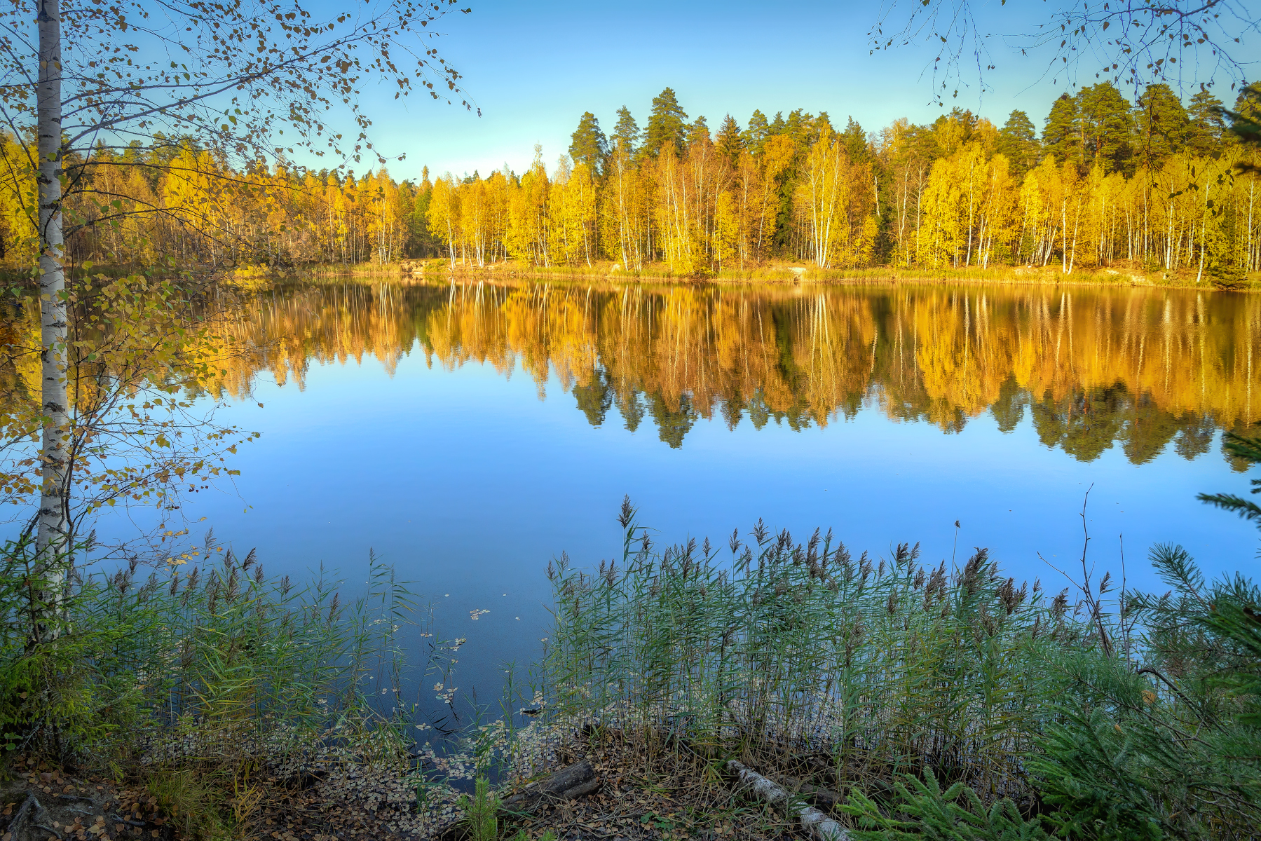 озеро, осень, северное, штиль,лес, Сергей Аникин