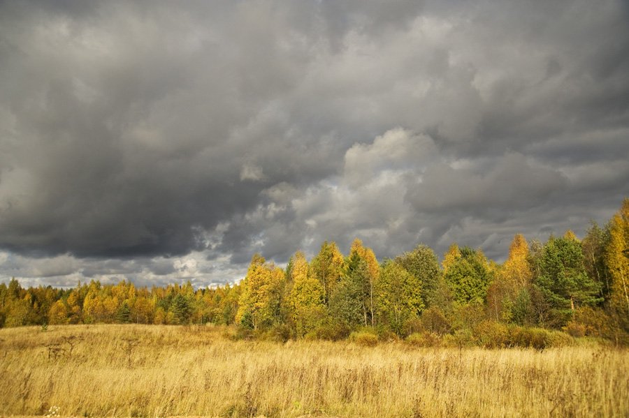 осень,природа,облака,небо,поля,лес,свет,тень, Евгений Пугачев.