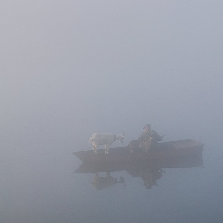 осень, рассвет, туман, лодка, мужик, козы,  тишина, Андрей Алексеев