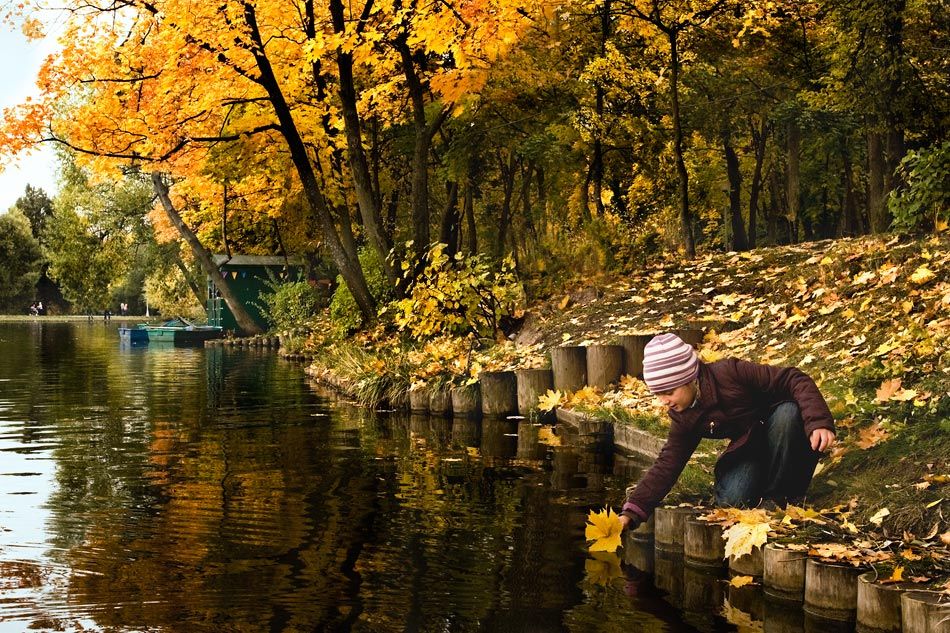autumn, leaf, forest, water, lake, voyage, Дмитрий Морозов