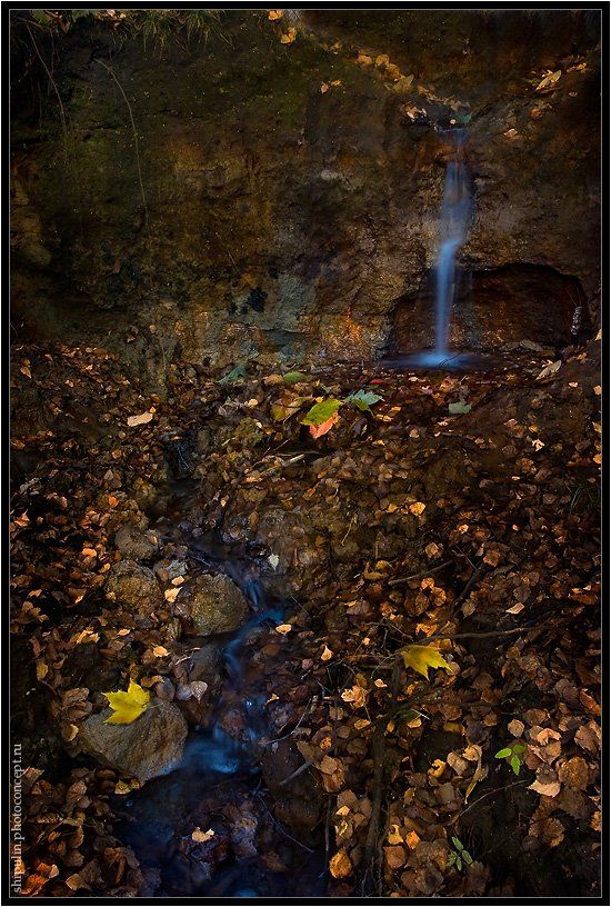 осень,ручей,ручеёк,ручьи,томск,владимир,шипулин,фотограф, Vladim_Shipulin