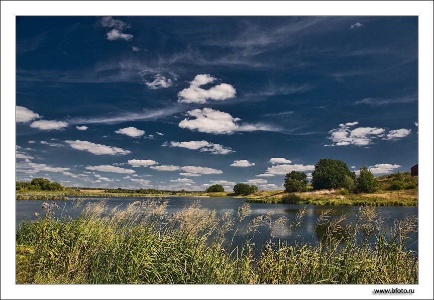 пейзаж, лето, пруд, озеро, фото, 2009, Алексей Строганов