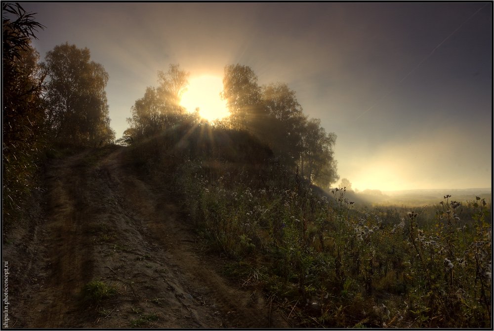 восход,восходы,туман,туманы,солнце,хдр,hdr,hdri,владимир,шипулин,томск,фотограф, Vladim_Shipulin