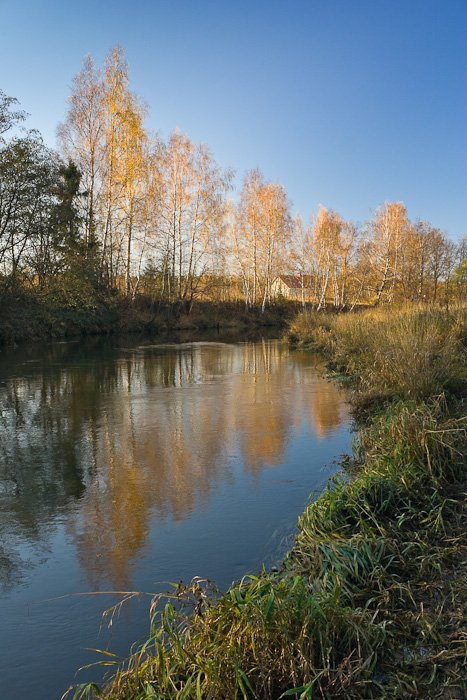 осень, река, воря, золото, подмосковье, Gorshkov Igor_Feanorus