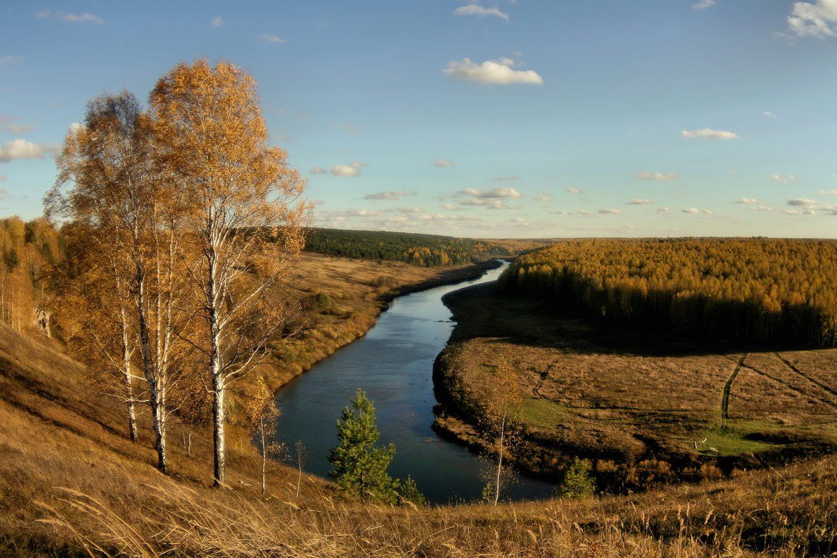 немда, осень, золото, Клековкин Александр