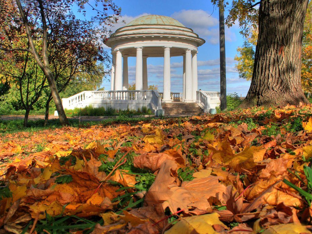 осень, золото, Клековкин Александр