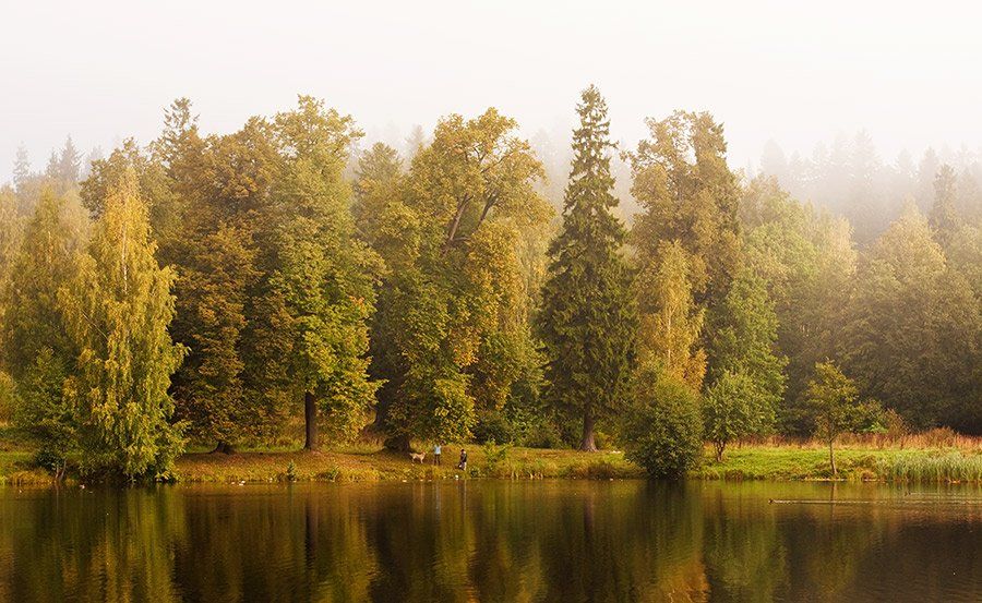 озеро, парк, осень, Паша Павлоцкий
