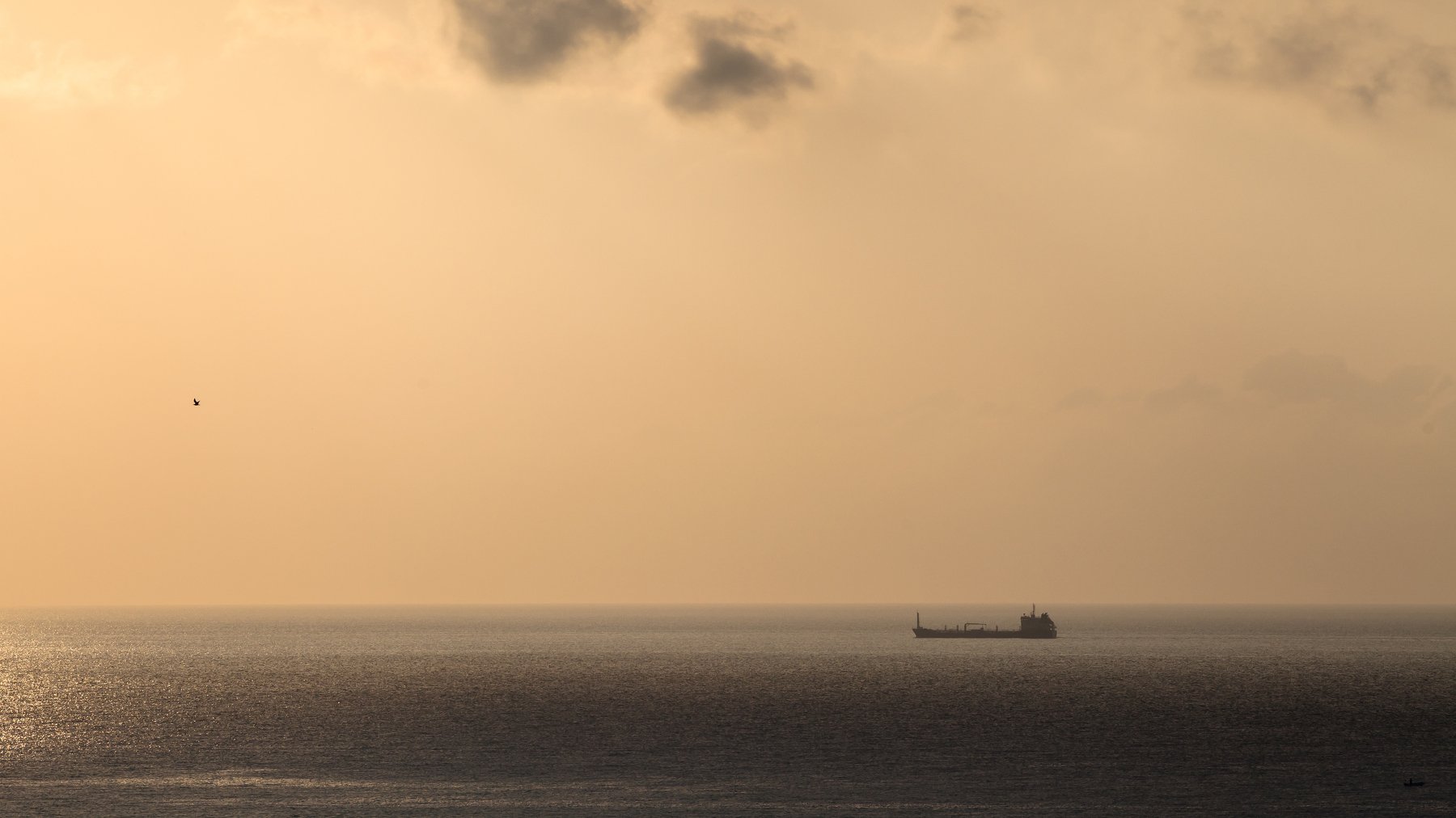 Море, корабль, рассвет, оранжевый, чайка, сухогруз, танкер, горизонт, минимализм, Иван Губанов