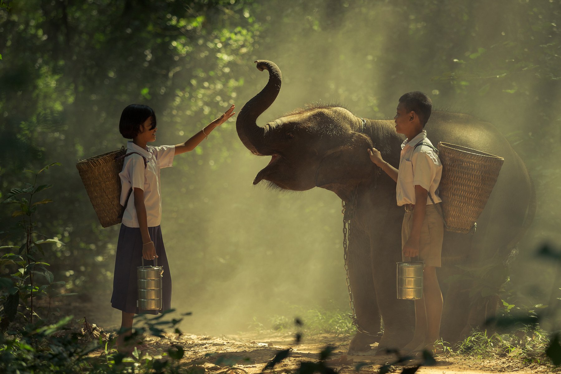 children,elephant,thai,student,boy,girl,friendship,life,animal,wildlife,asia,love,, SUTIPORN SOMNAM