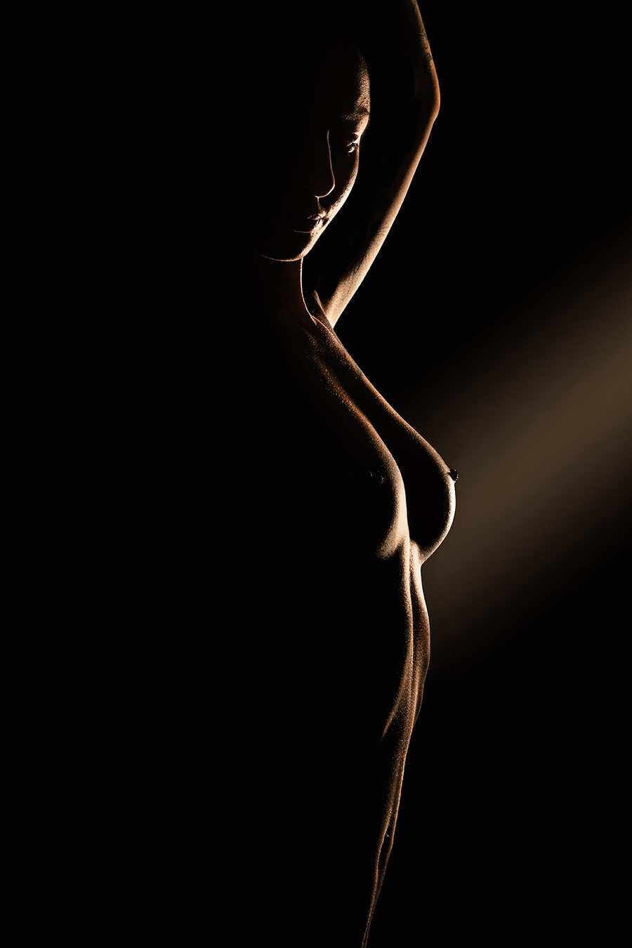 lowkey, fine art, sensual, body, nude, nude art, silhouette, model, art, Kristian Liebrand