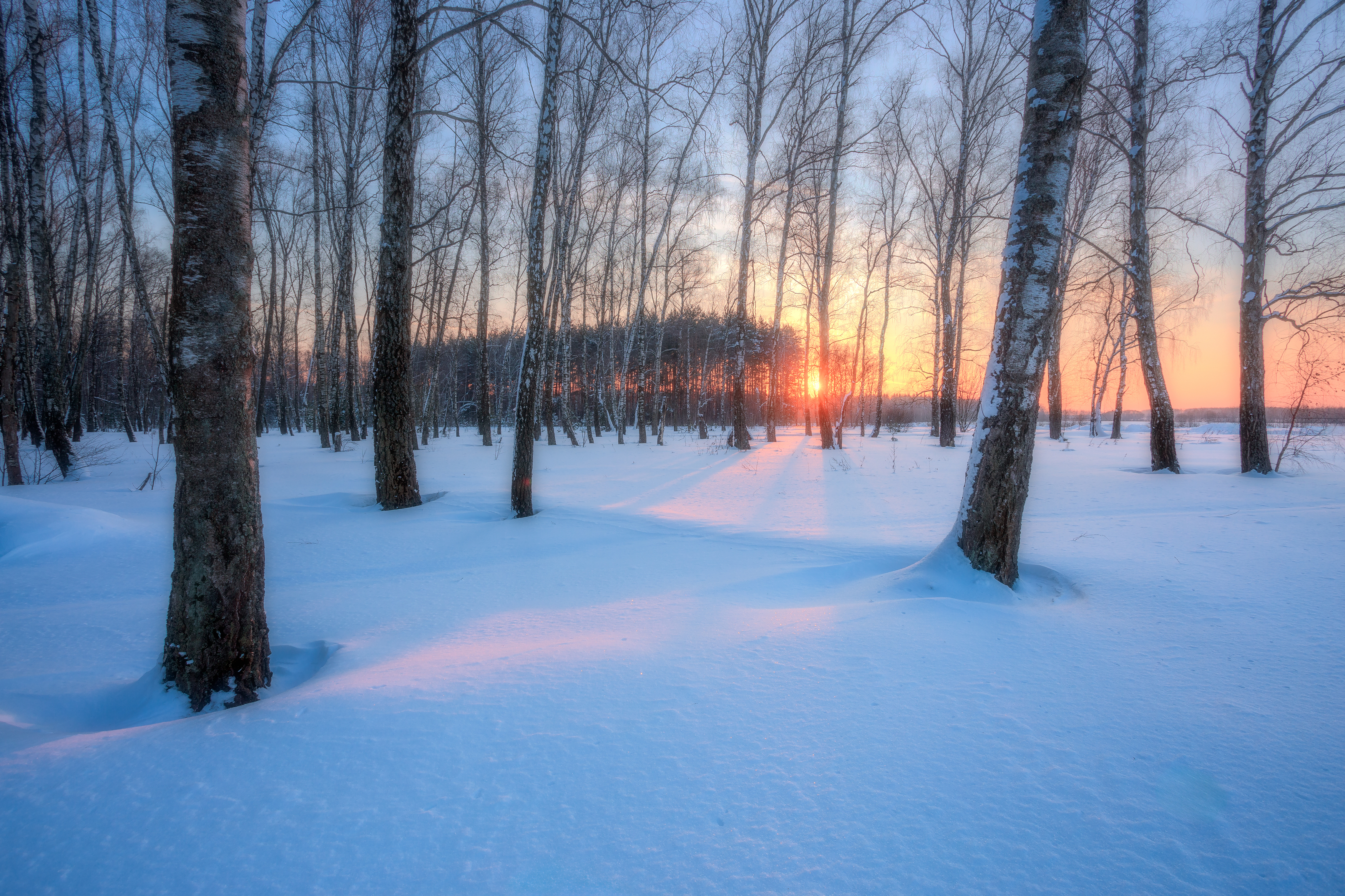пейзаж, Московская область, природа, зима, весна, закат, Мартыненко Дмитрий