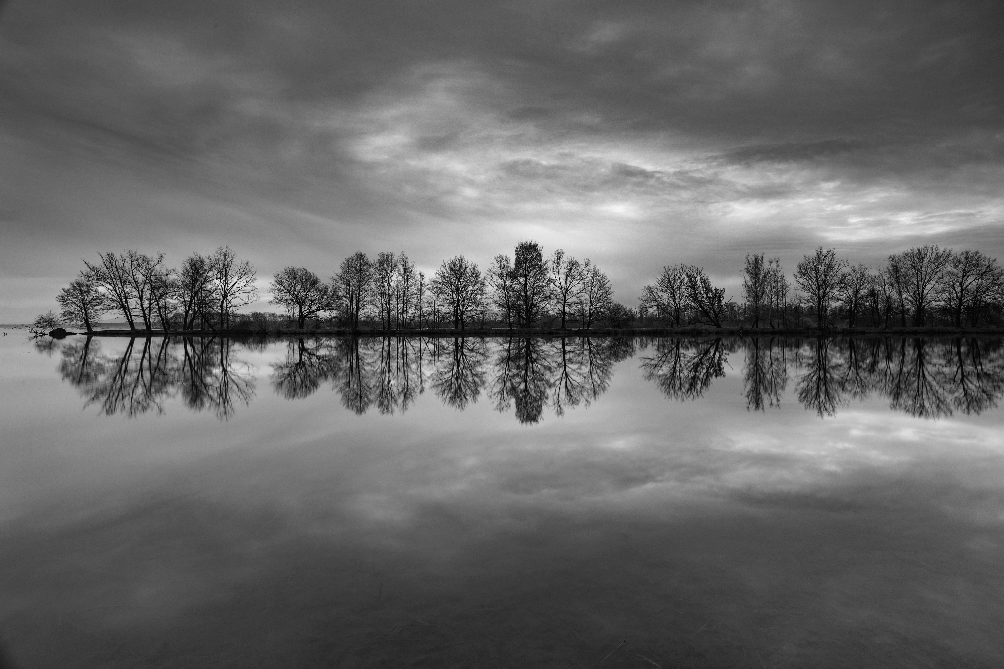Horizontal, Photography, Reflection, Tree, Sky, Clouds, Water, Lake, Nature, Tranquility, Day, Monochrome, Symetry, Black&White, Landscape, Damian Cyfka