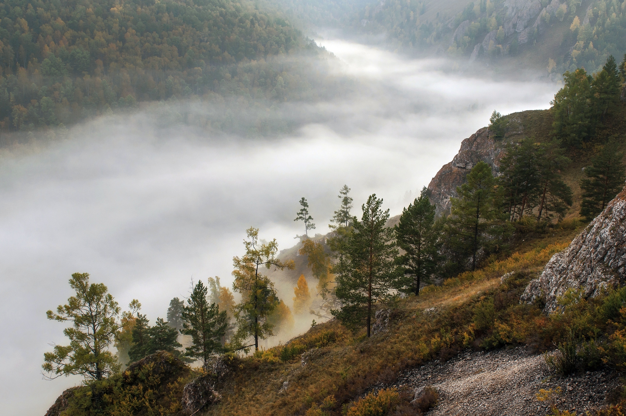 осень, туман, рассвет, торгашинский хребет, Фомина Марина