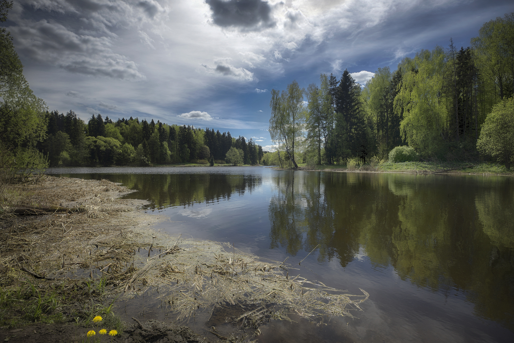 весна, река, лес, Сергей Аникин
