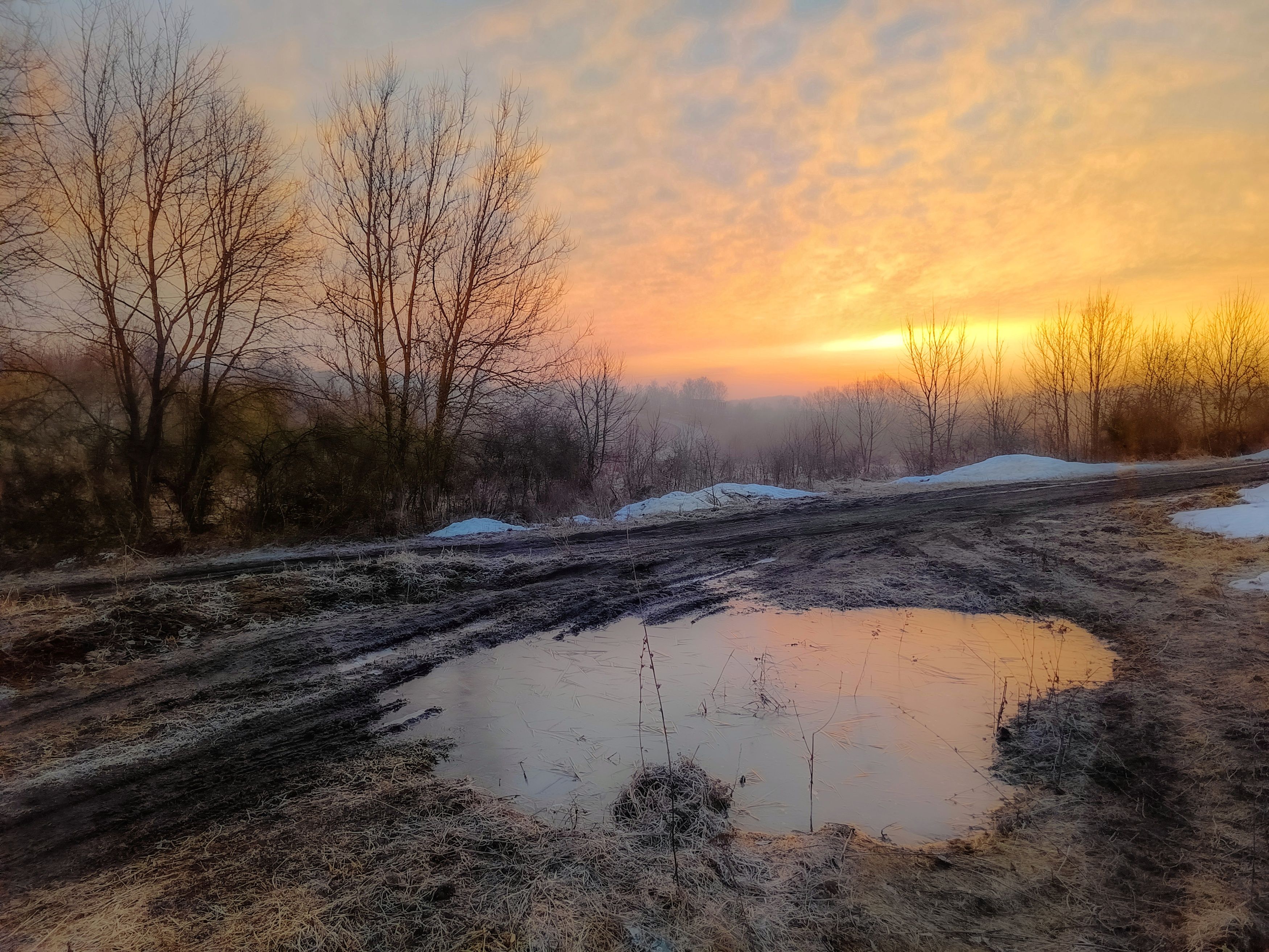 , Кондрашова Светлана