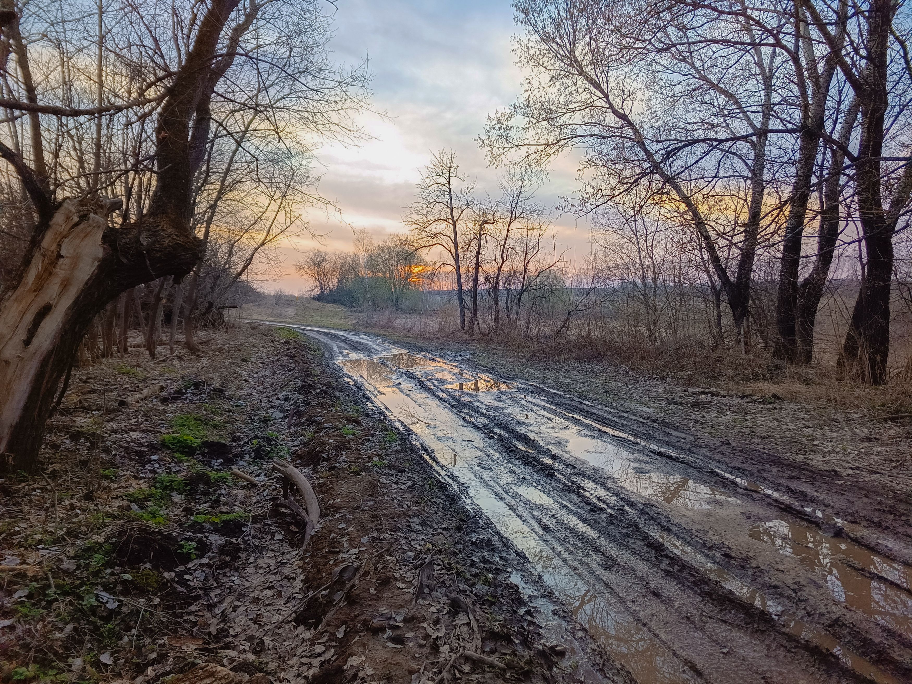 , Кондрашова Светлана