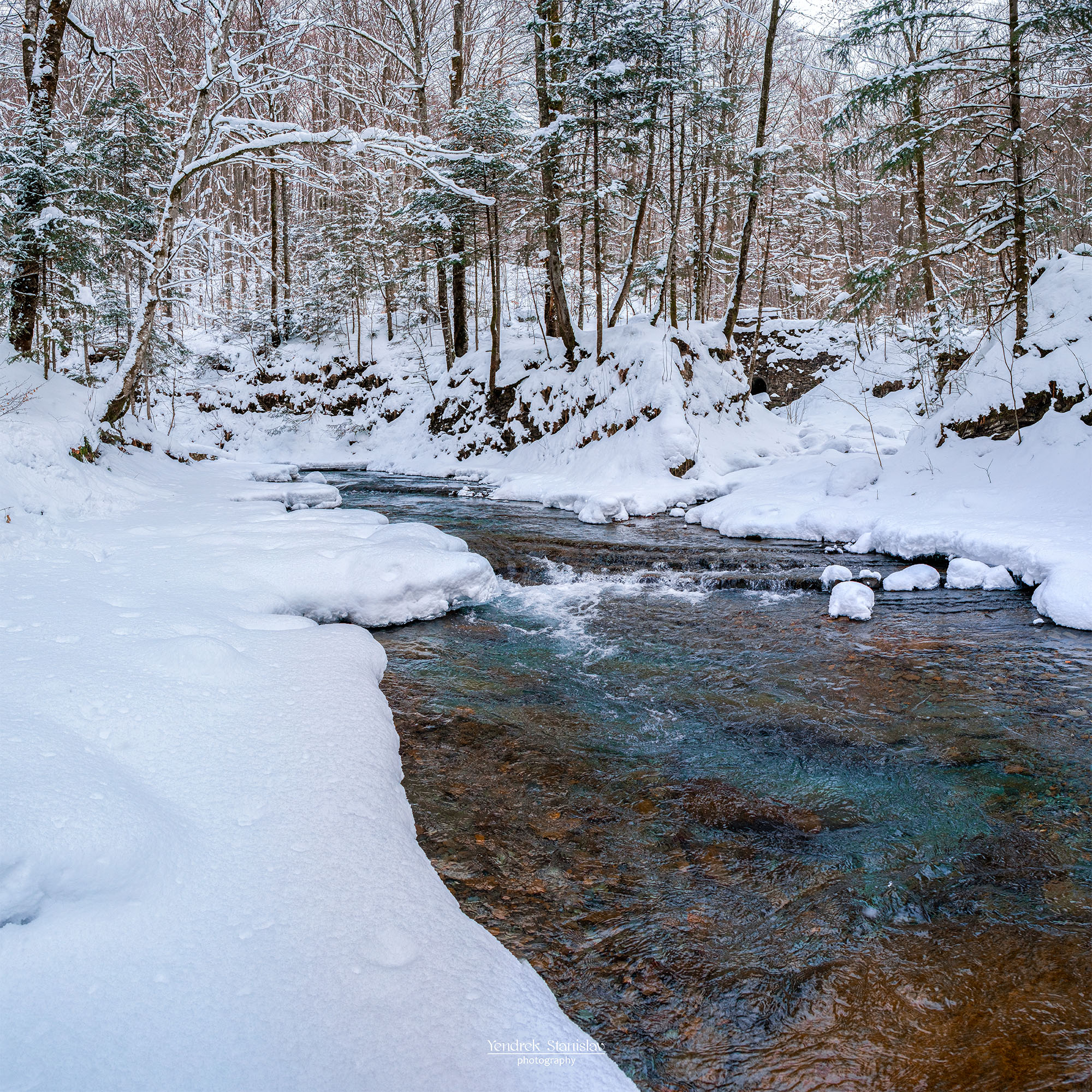 пейзаж лес зима снег ручей вода landscape forest winter snow stream water, Yendrek Stanislav