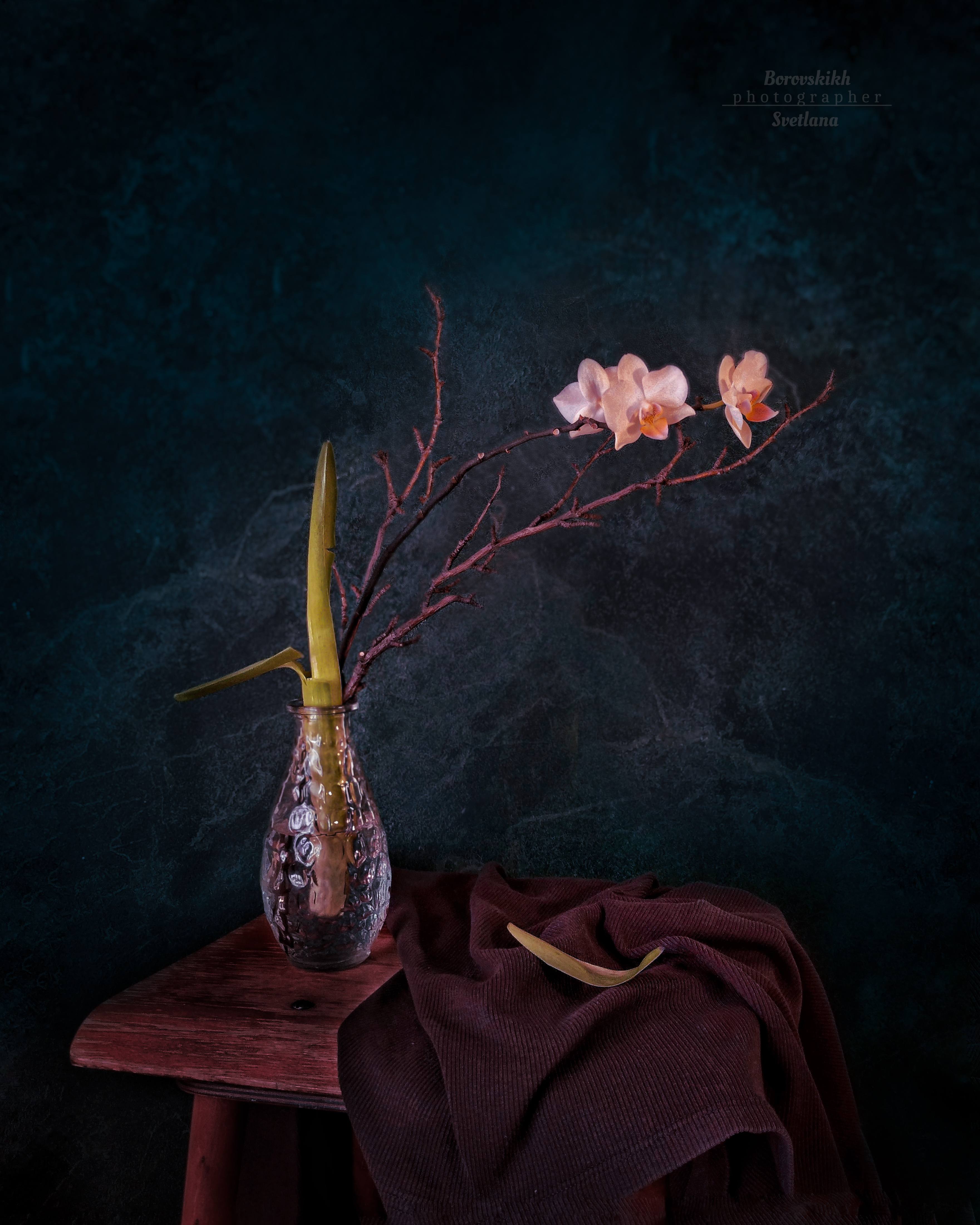 натюрморт, низкий ключ, darkphoto, минимализм, драпировка, ваза, цветы, орхидея, фото на телефон, Светлана Боровских