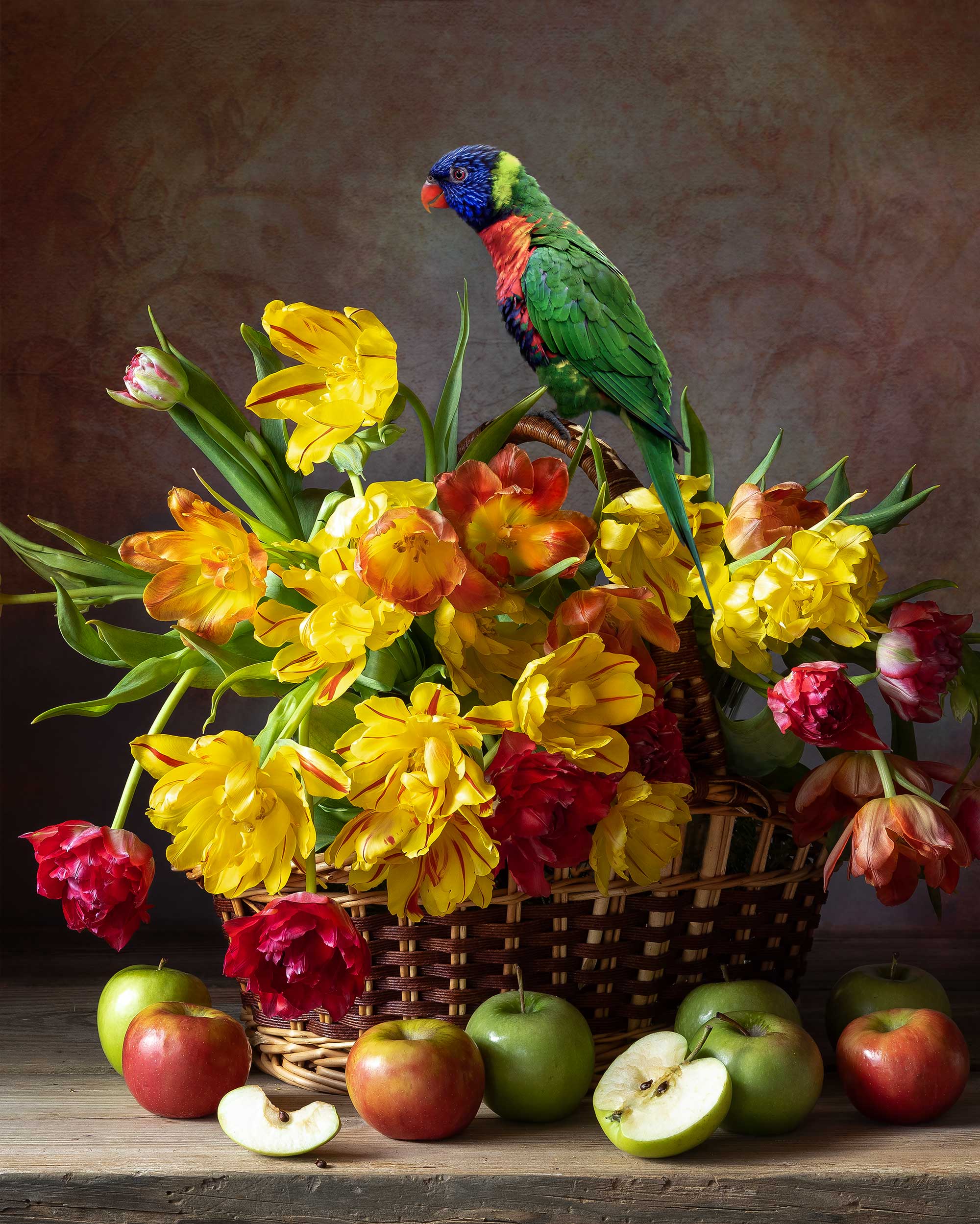 parrot, tulips, still life photography, flowers, Слуцкая Яна