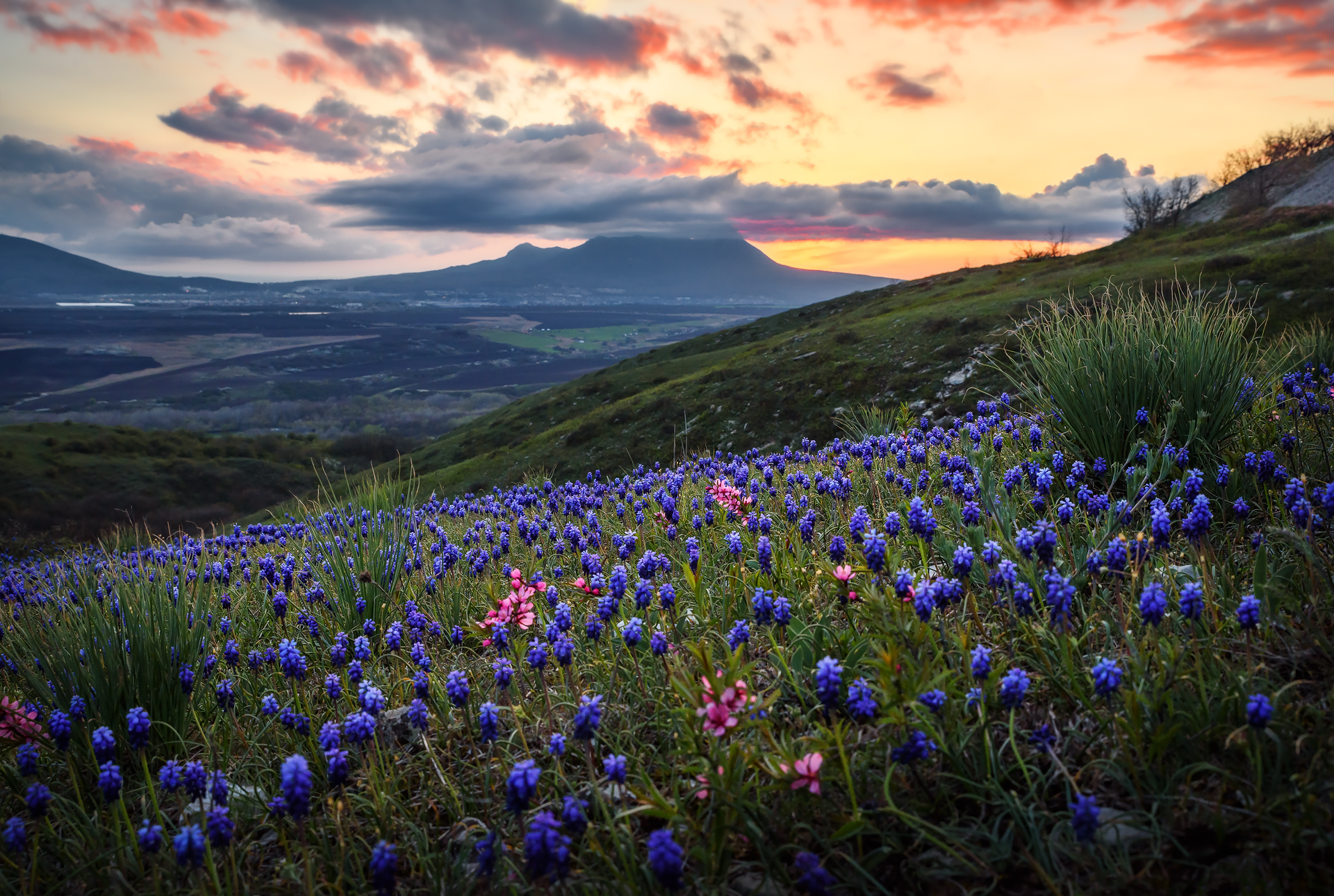 кавказ, горы, вечер, закат, весна, цветы, бештау, Zakharov Armen