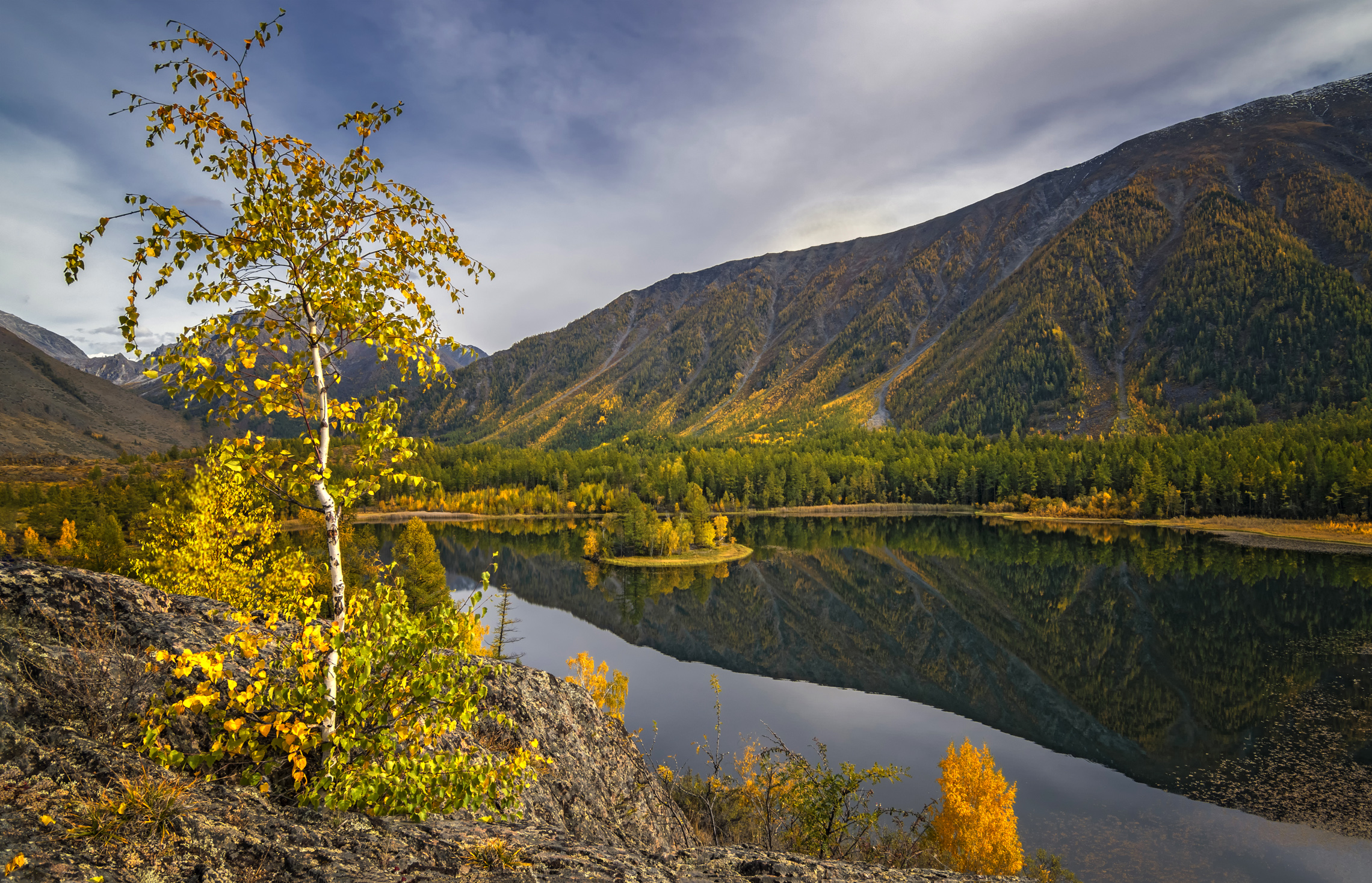 горный алтай,сентябрь2023,озеро в горах,берёзка, Lora Pavlova