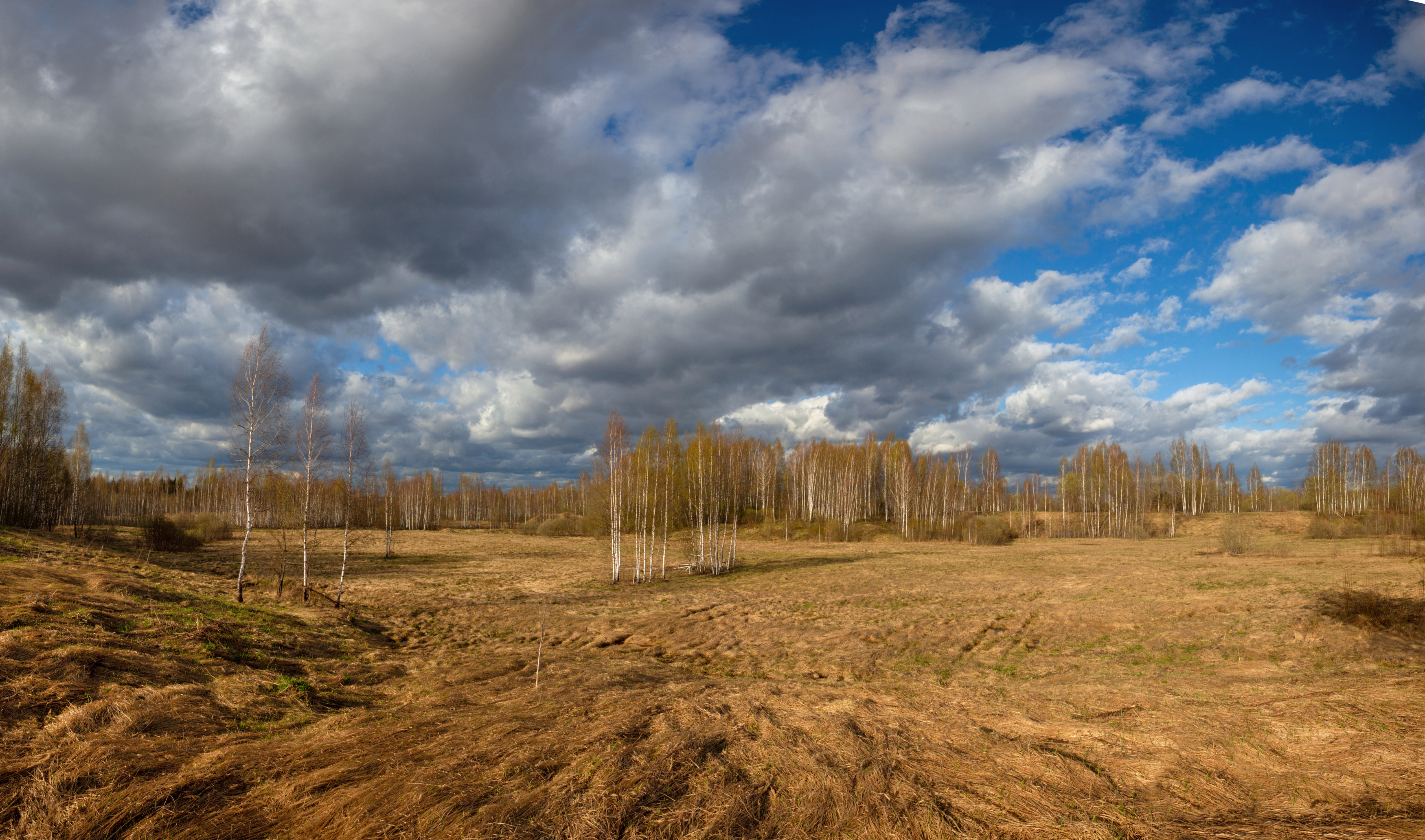весна, поле, облака, Свистков Александр