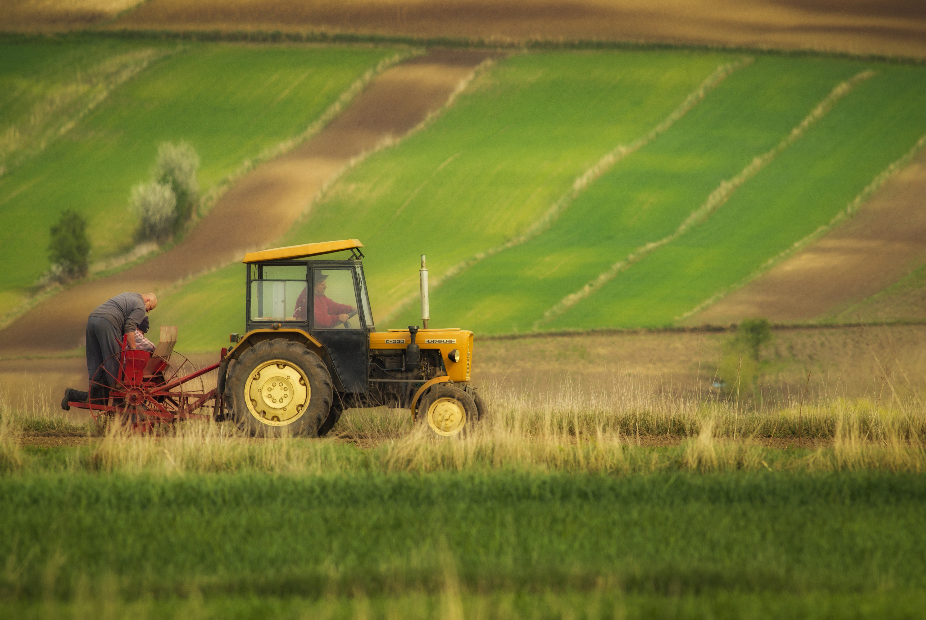 Tractor, Agriculture, Farm, Agricultural, Machinery, Nature, Spring, Rural, Village, Field, Ponidzie, Poland, Damian Cyfka